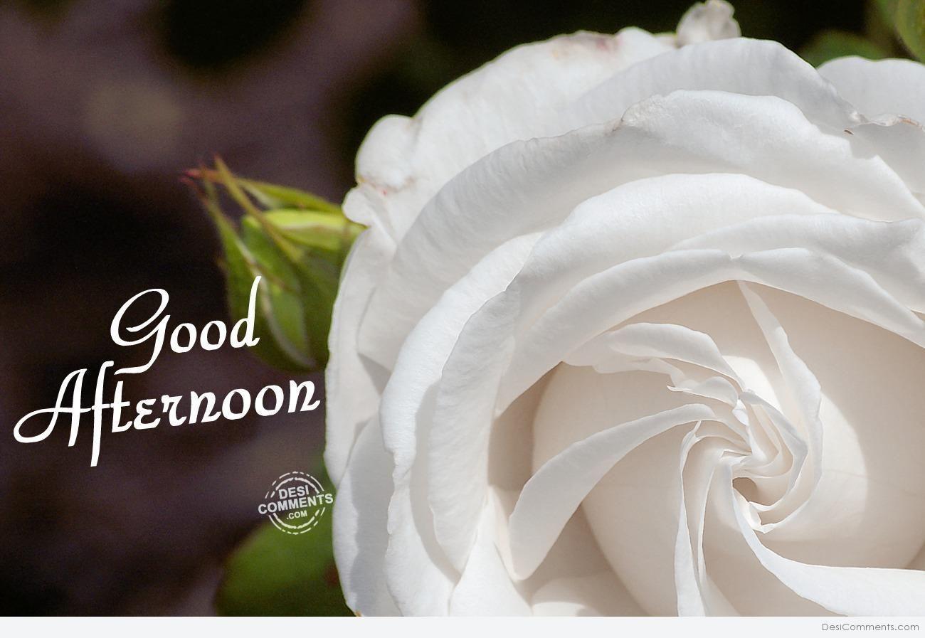 Good Afternoon Wallpapers - Top Free Good Afternoon Backgrounds -  WallpaperAccess