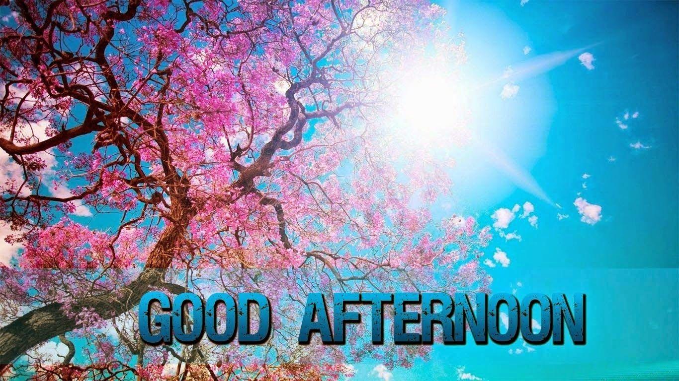 Good Afternoon Wallpapers Top Free Good Afternoon Backgrounds Wallpaperaccess