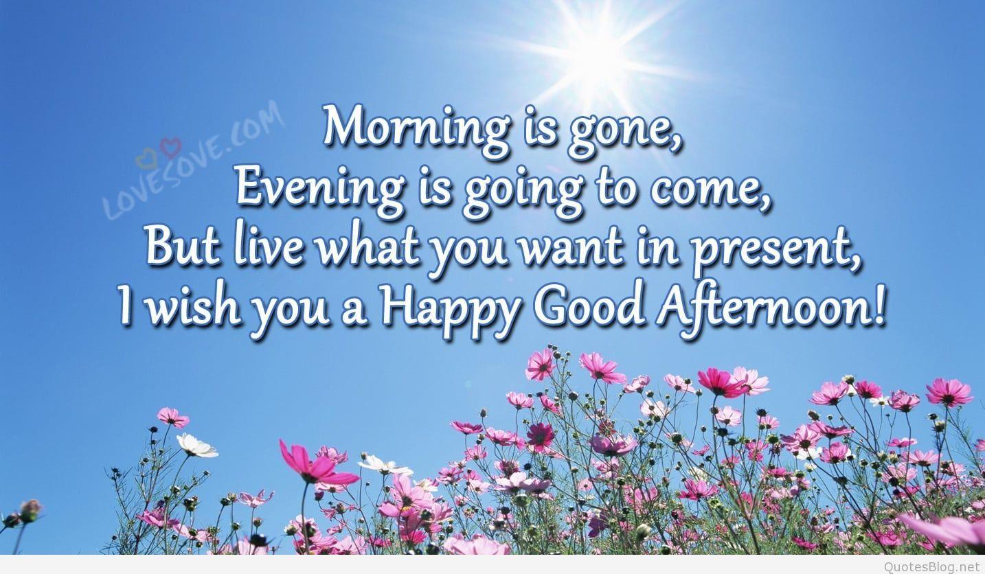 1434x836 Good Afternoon Image, Quotes, Gifs and Wallpaper