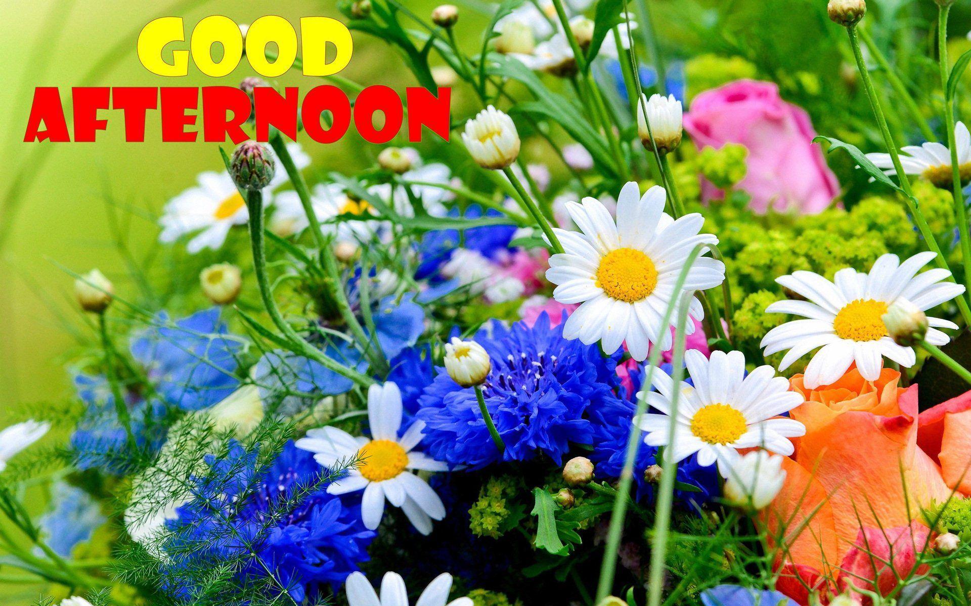 1920x1200 Good Afternoon Wallpaper