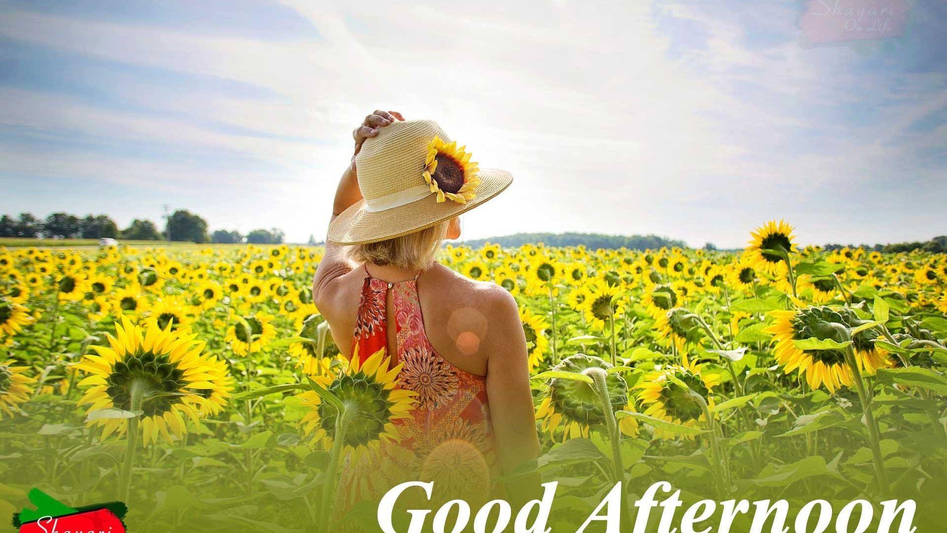 1920x1080 Free download Good Afternoon QuotesWishesMessage With ImagePhotos