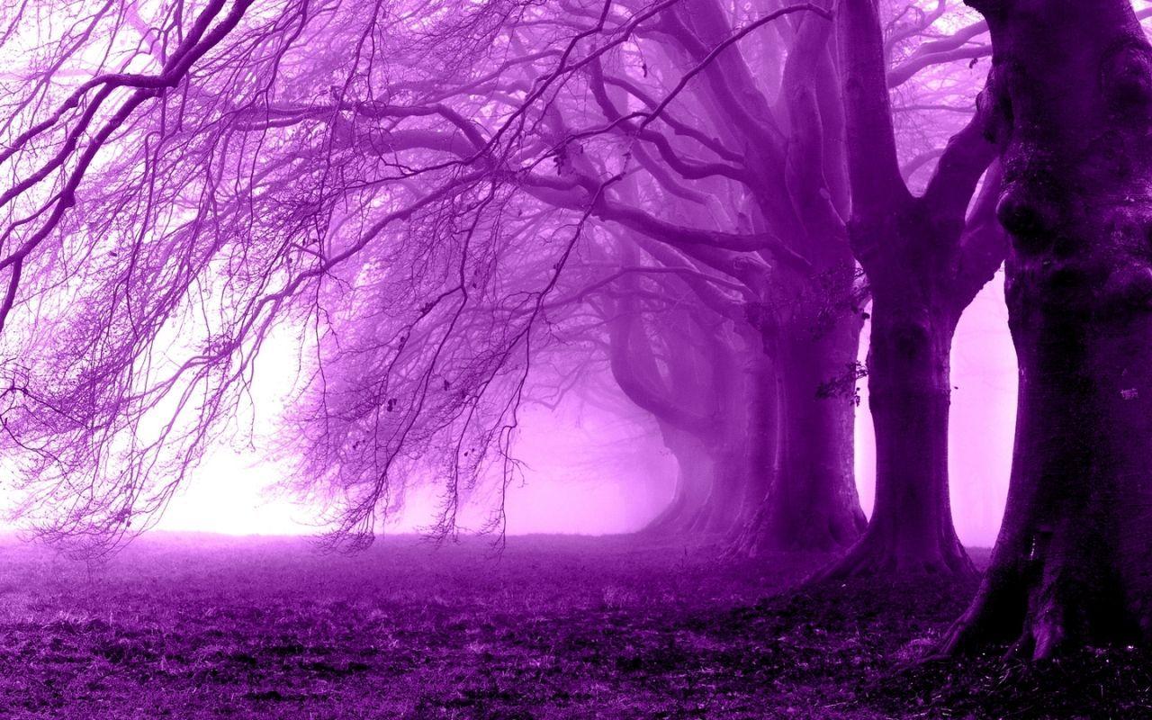 Hình Nền Cây Tím (Purple Tree Wallpaper): Đổi vẻ ngoại hình của điện thoại của bạn với hình nền cây tím đẹp nhất. Với màu sắc nổi bật và thiết kế độc đáo, hình nền cây tím sẽ khiến cho điện thoại của bạn trở nên nổi bật và ấn tượng hơn.