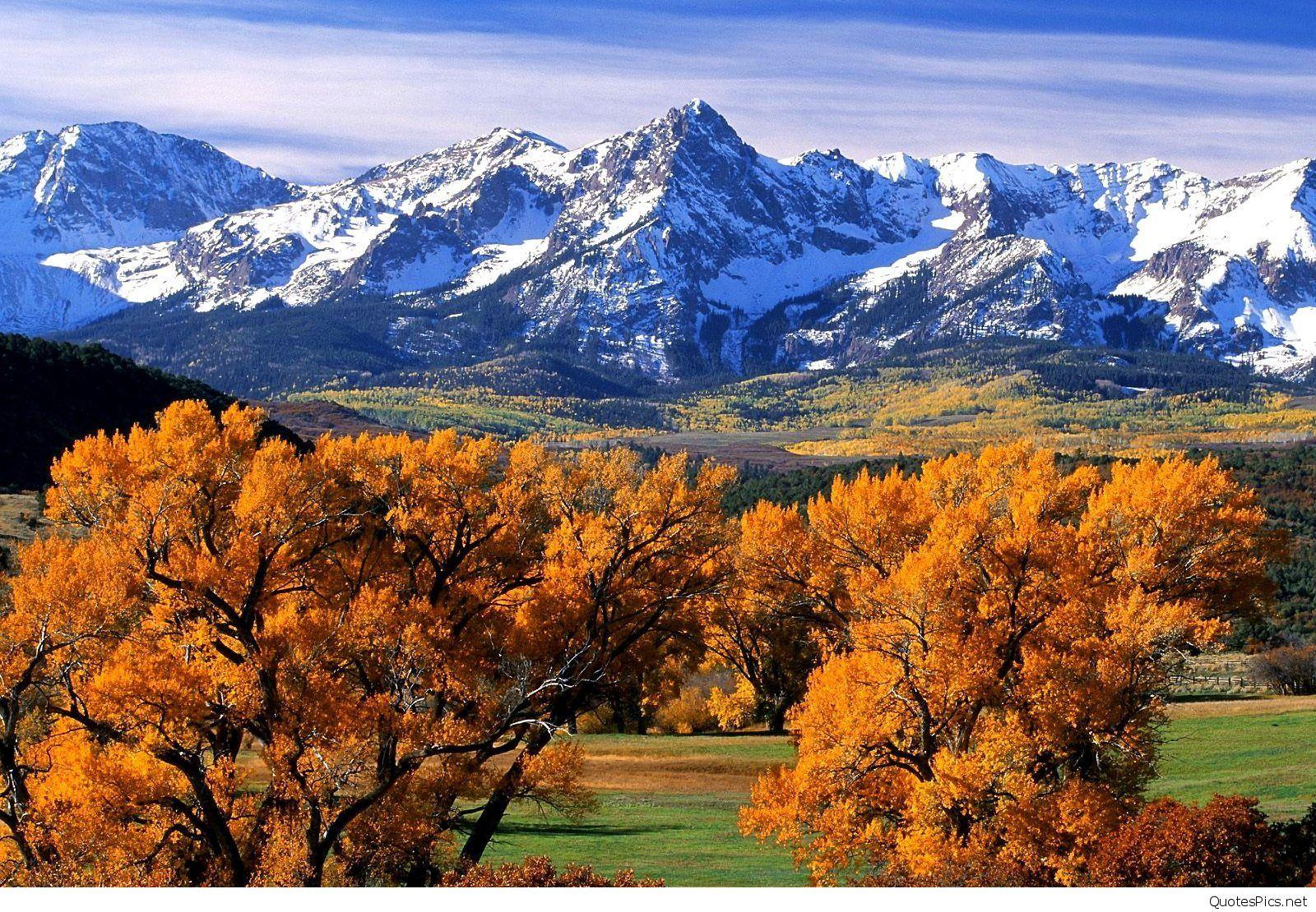 1600x1110 Autumn Light Fields Splendor Colors Great Tree Fall Nature Amazing