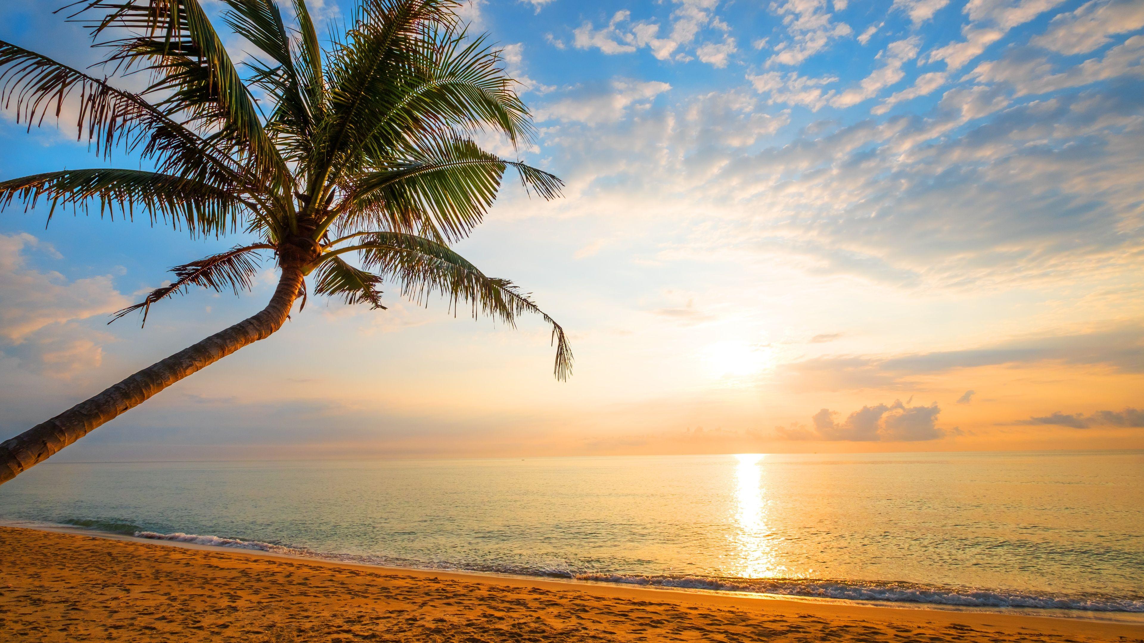 3840x2160 Wallpaper 4k Ocean Landscape Horizon Nature 4k 4k Wallpaper, 5k