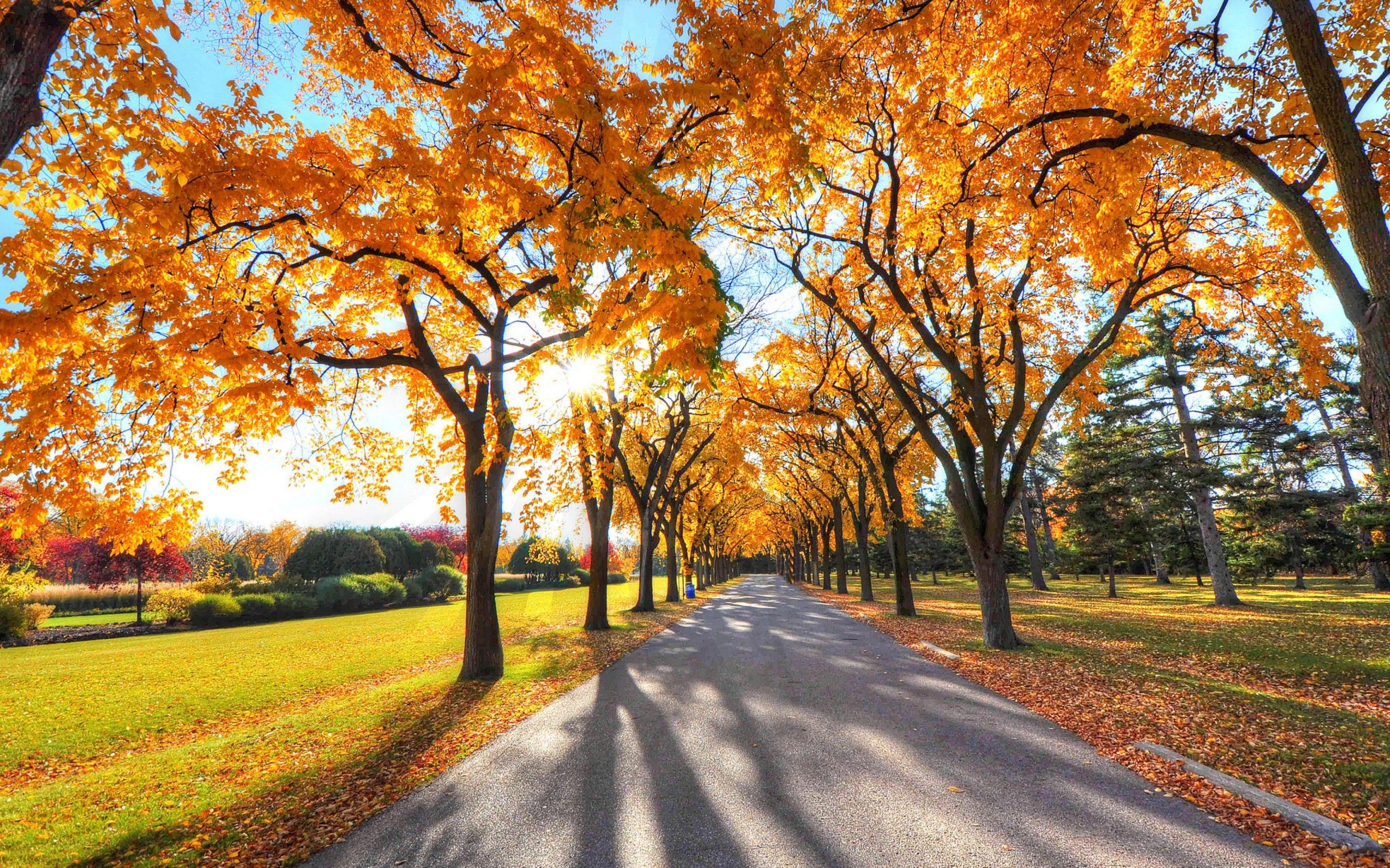 Autumn MacBook Wallpapers - Top Free Autumn MacBook Backgrounds