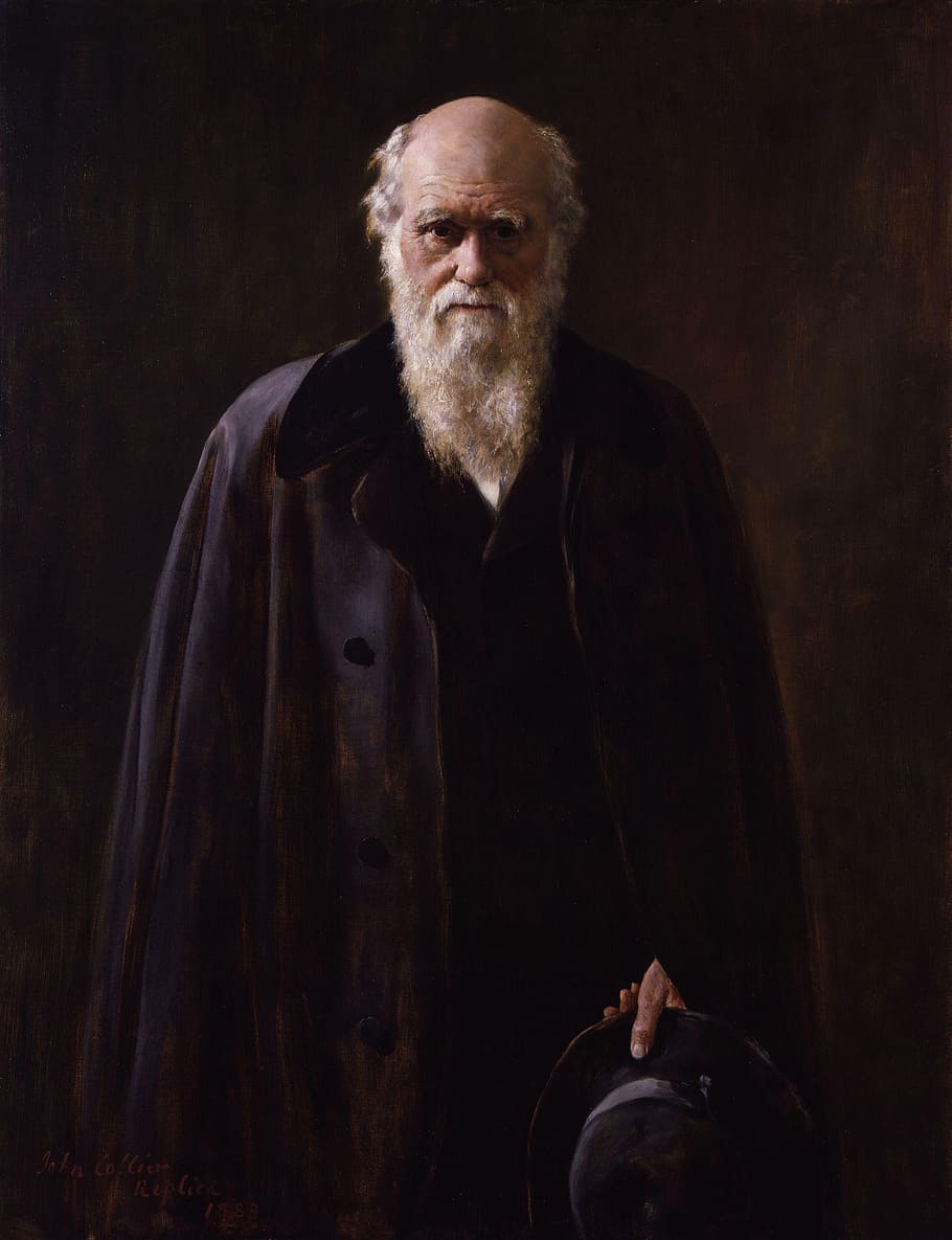 910x1185 Charles Darwin 1080P, 2K, 4K, 5K HD wallpaper free download