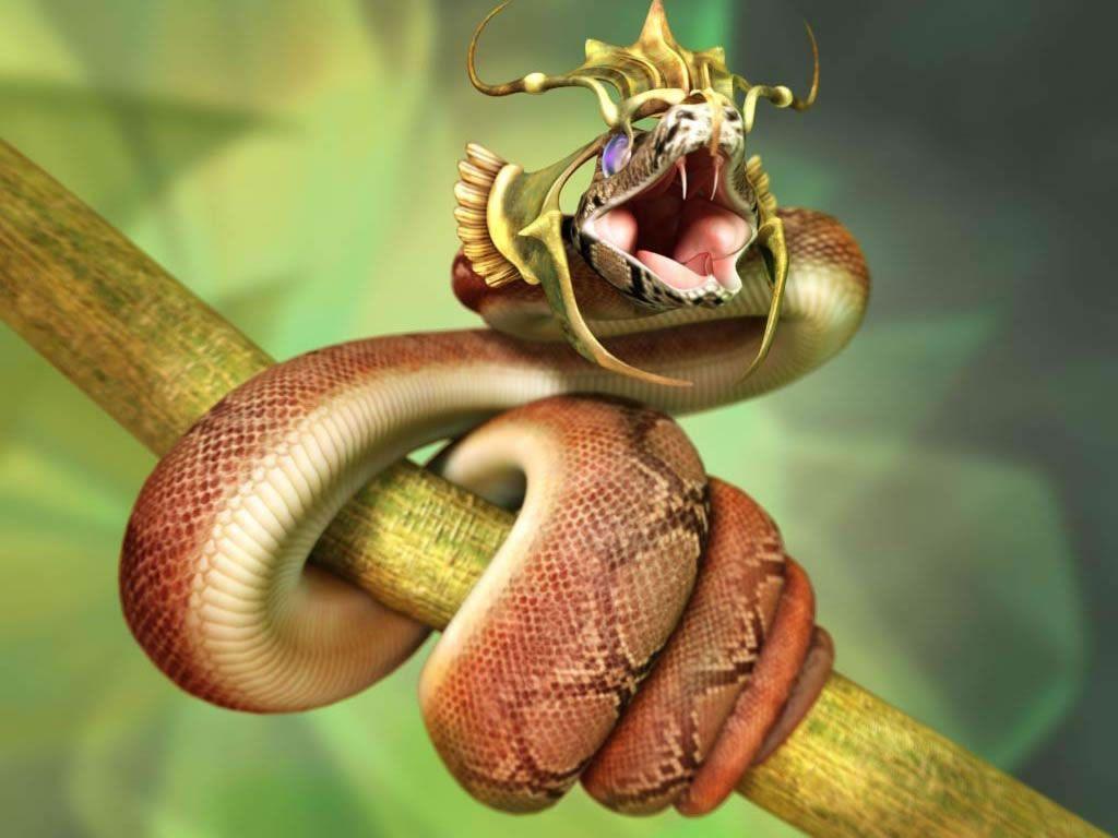 1024x768 Snake King Cobra HD Wallpaper