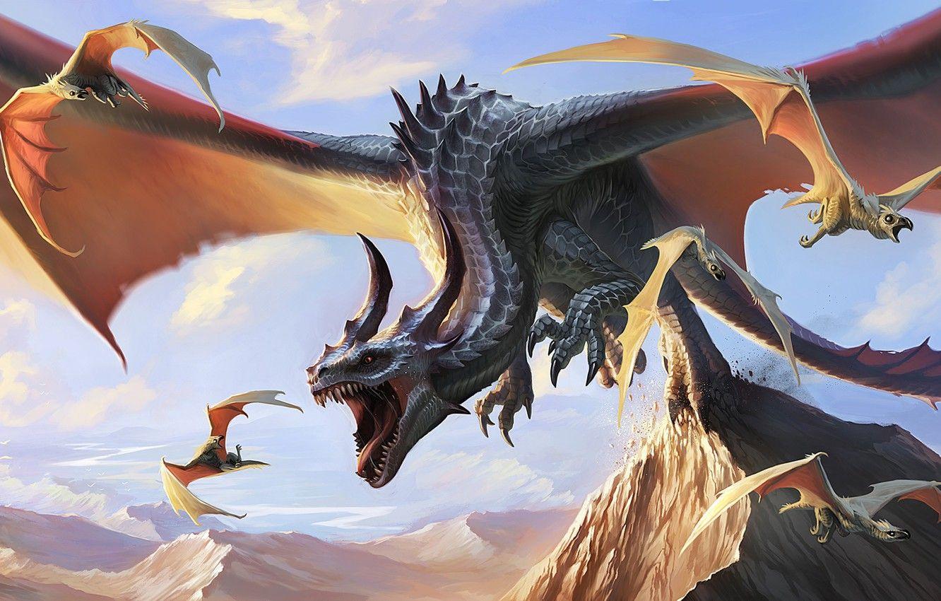 Wyvern Wallpapers - Top Free Wyvern Backgrounds - WallpaperAccess