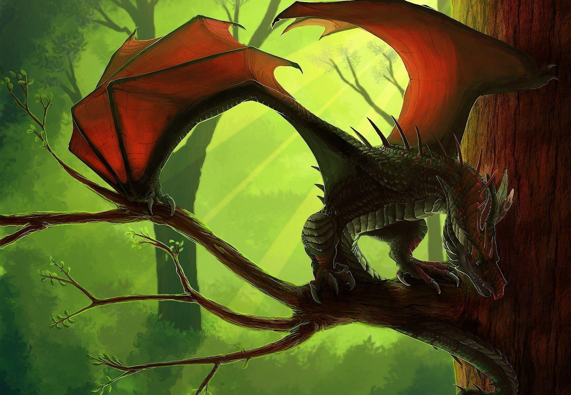 1920x1331 Wyvern Wallpaper
