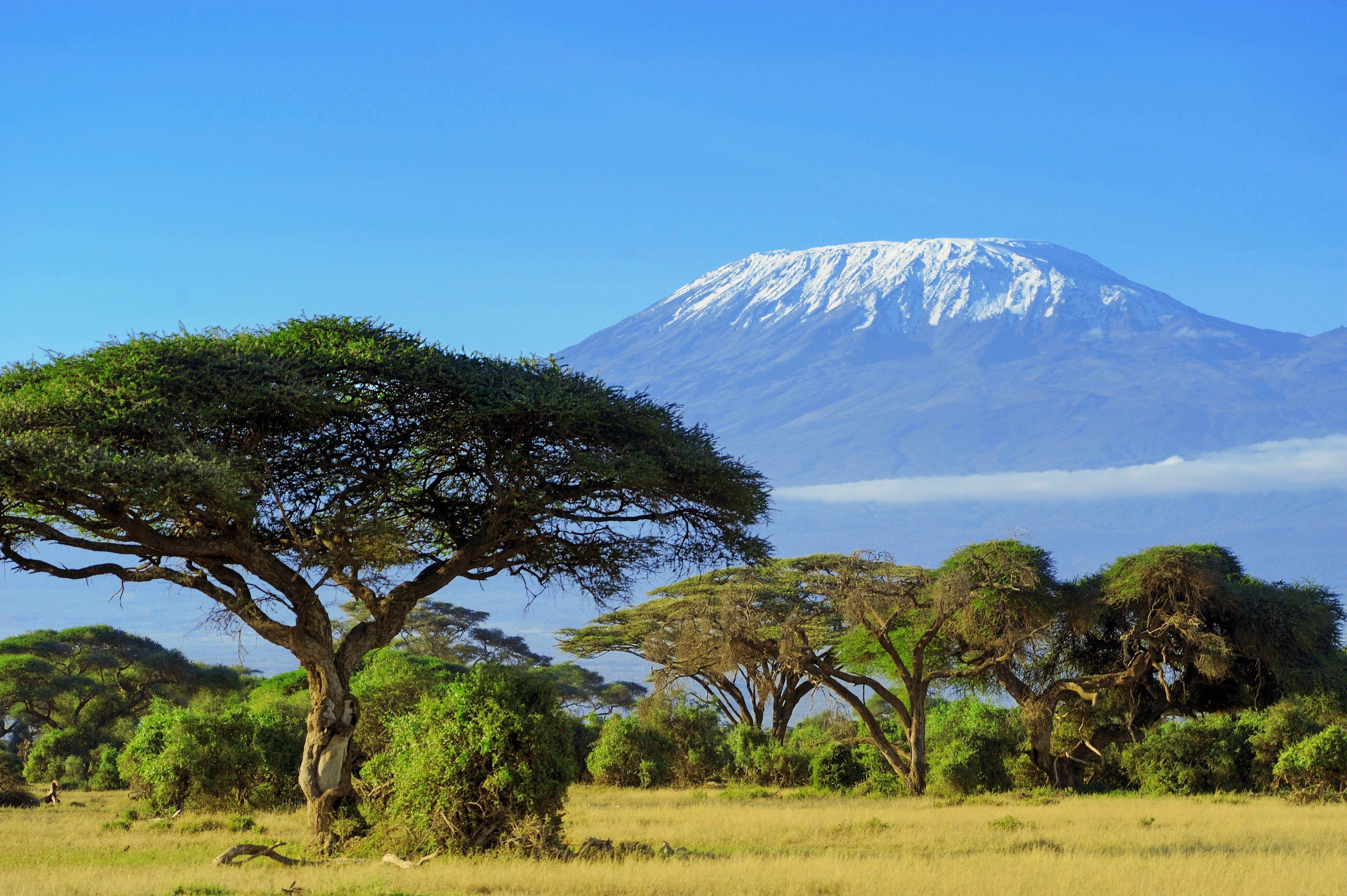 Красивая страна африки. Танзания Килиманджаро. Танзания гора Килиманджаро. Гора Килиманджаро в Танзании, Африка. Саванна Килиманджаро.
