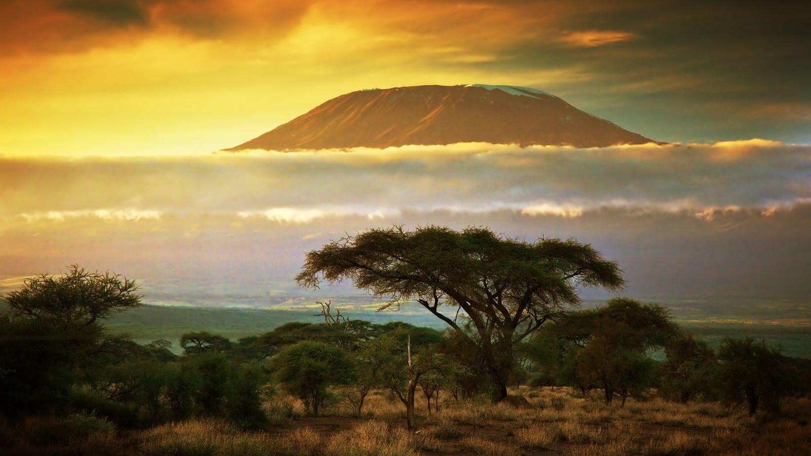 Kilimanjaro Wallpapers - Top Free Kilimanjaro Backgrounds - WallpaperAccess