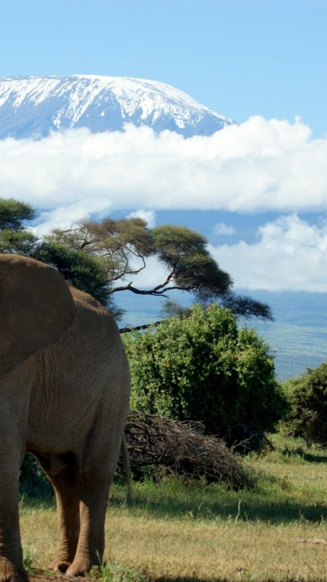 1080x1920 Mt. Kilimanjaro Wallpaper. Mt