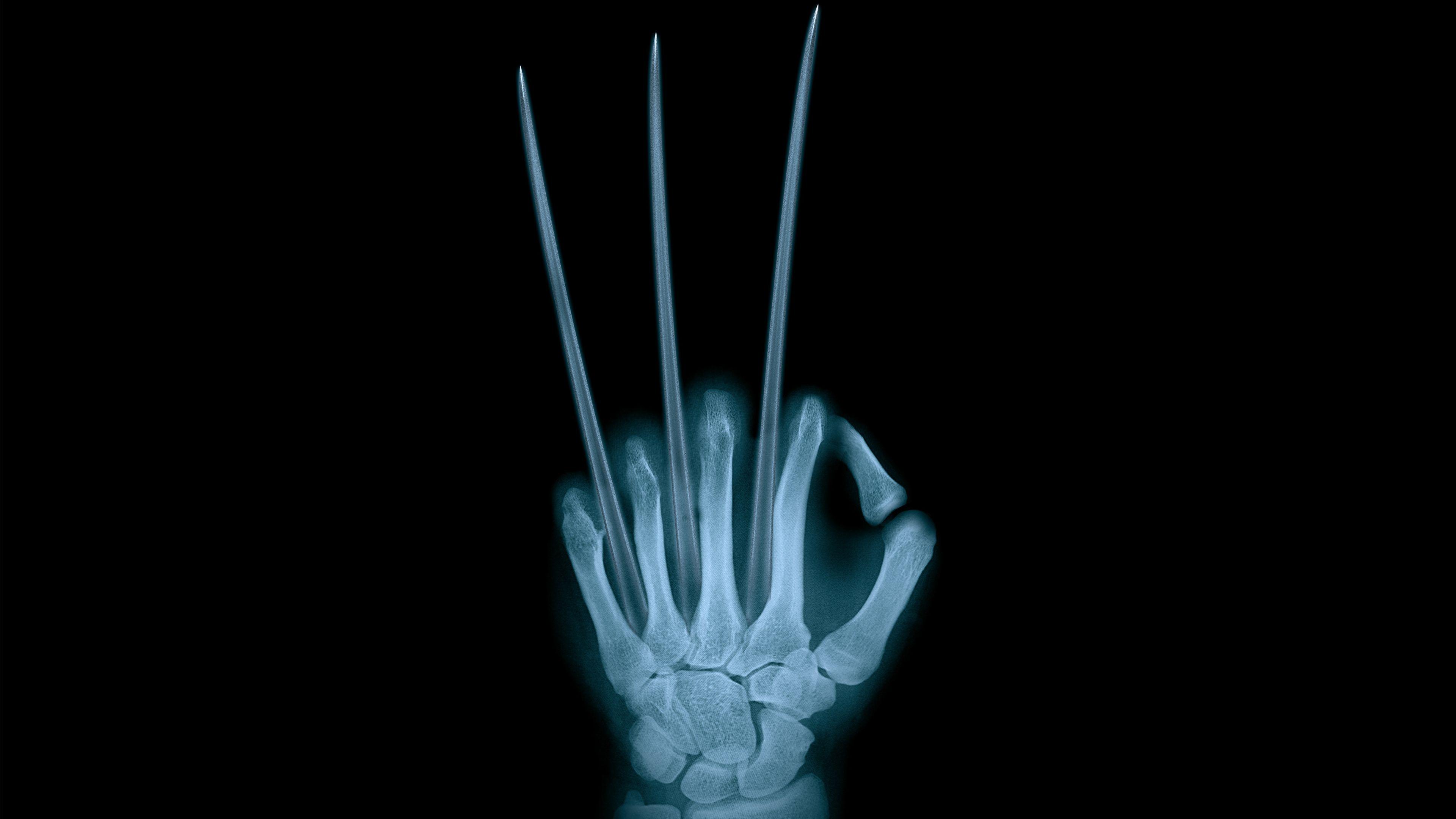 3840x2160 4K Wolverine X Ray Wallpaper HD