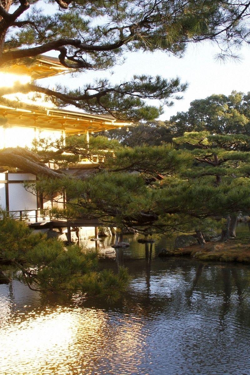 800x1200 Download wallpaper 800x1200 evening, japan, mansion, water, garden