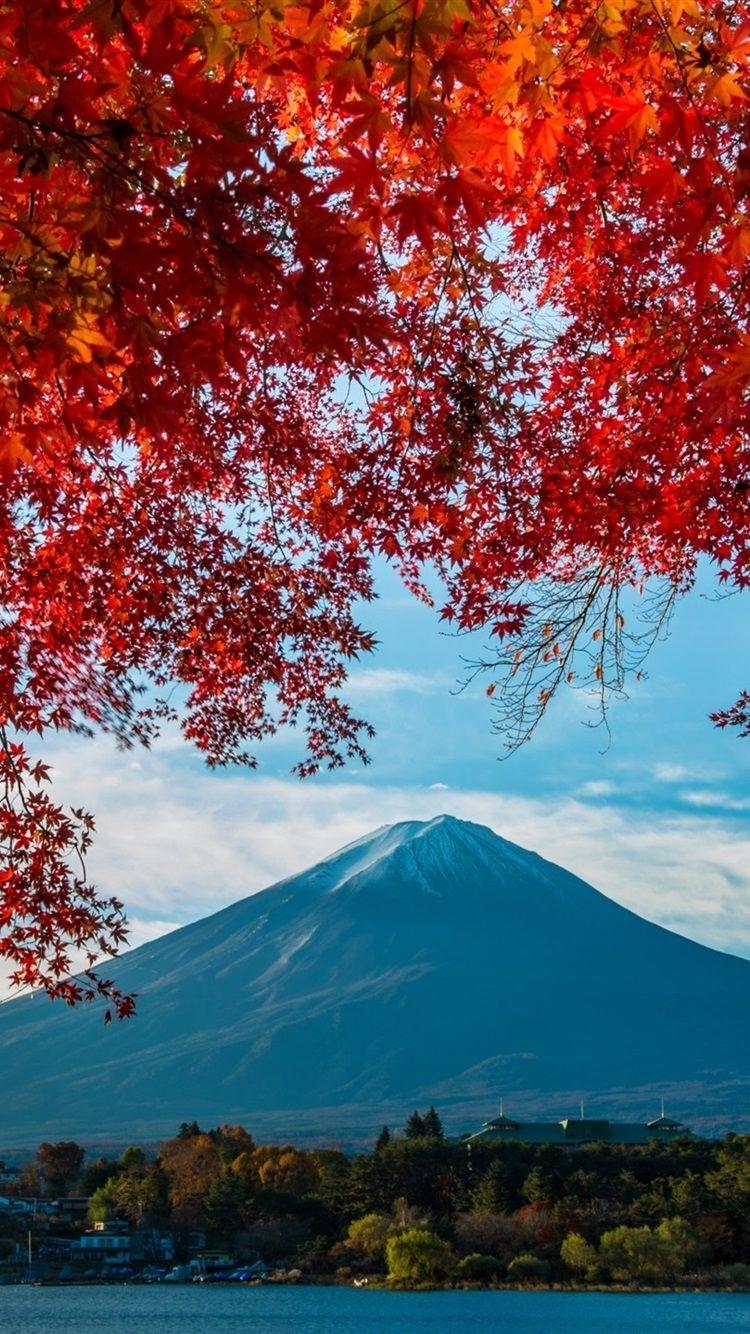 750x1334 Wallpaper Fuji Mount, trees, red leaves, autumn, Japan 1920x1440 HD Picture, Image