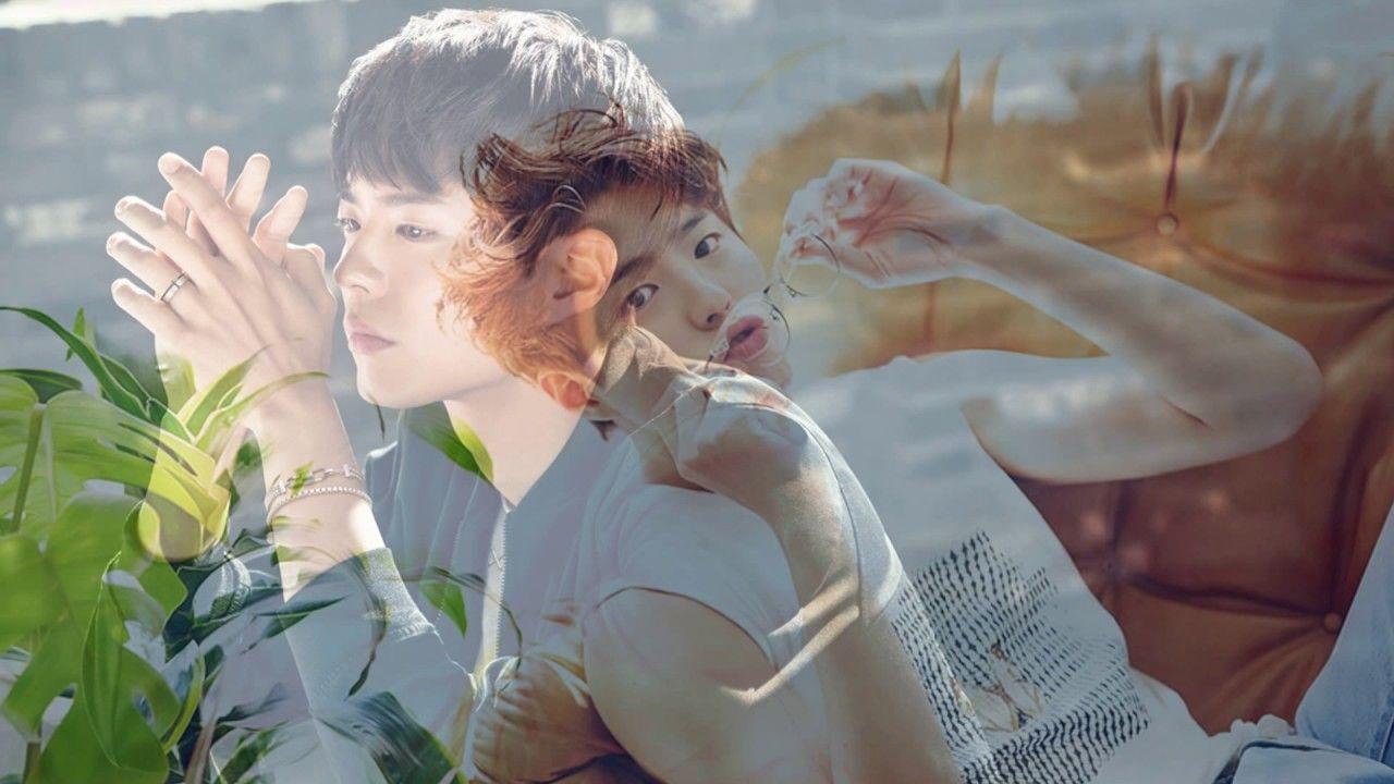 1280x720 Park Bo Gum Wallpaper full HD Free Download