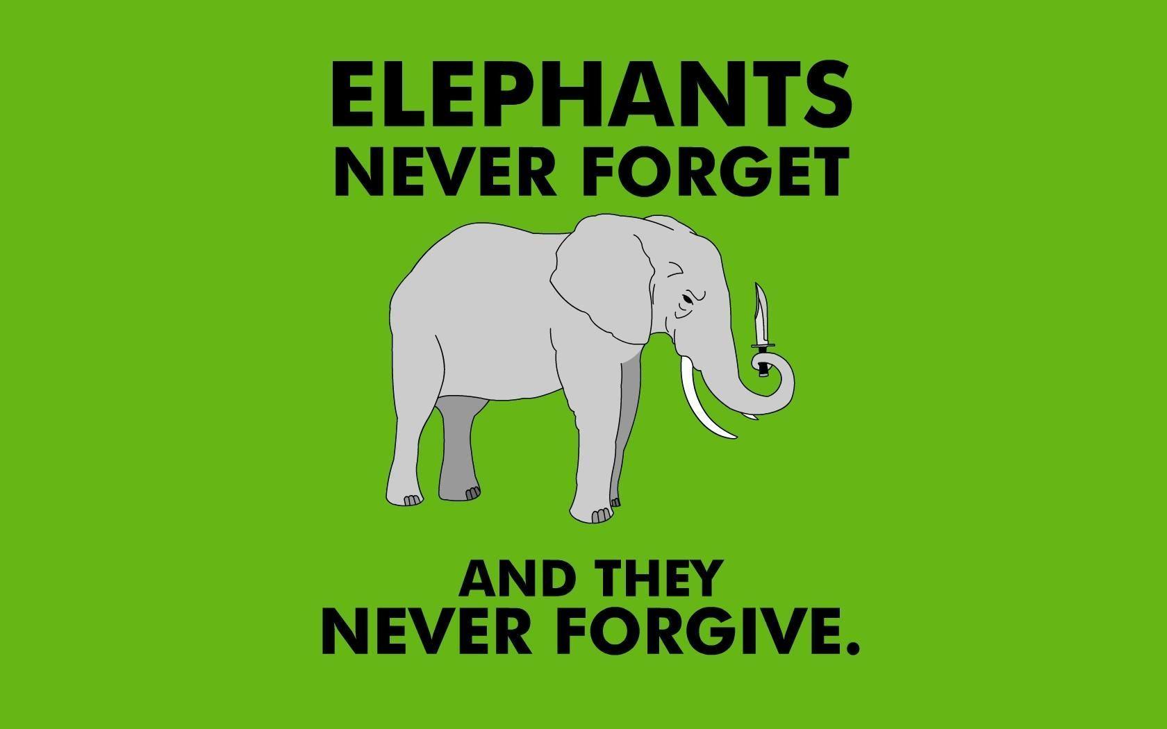 1680x1050 Elephants Never Forget And Forgive Wallpaperx1050
