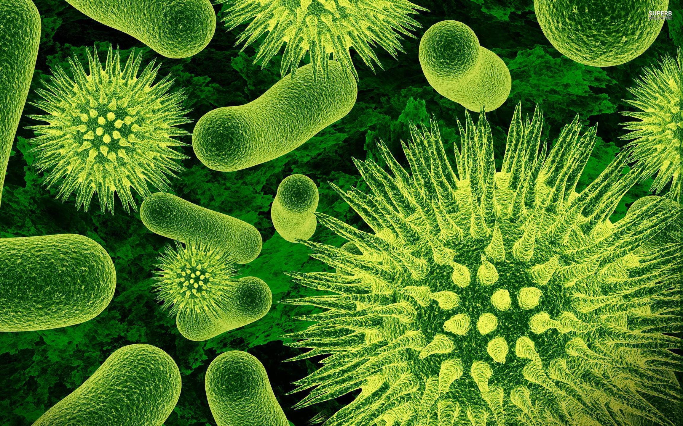 Microbes Images  Browse 364459 Stock Photos Vectors and Video  Adobe  Stock