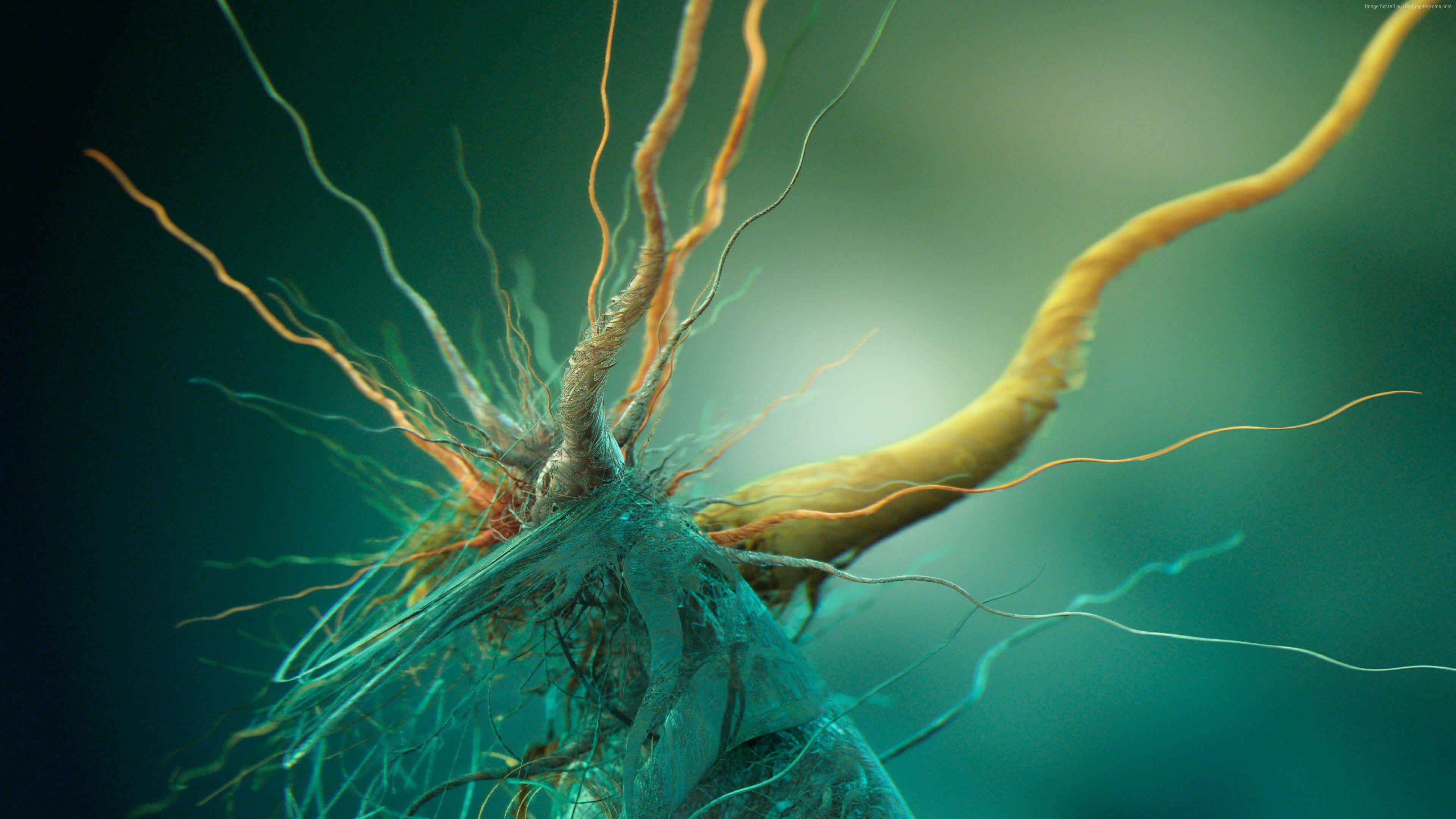 3840x2160 Abstract Bacteria iPhone Green Root Wallpaper and Free Stock