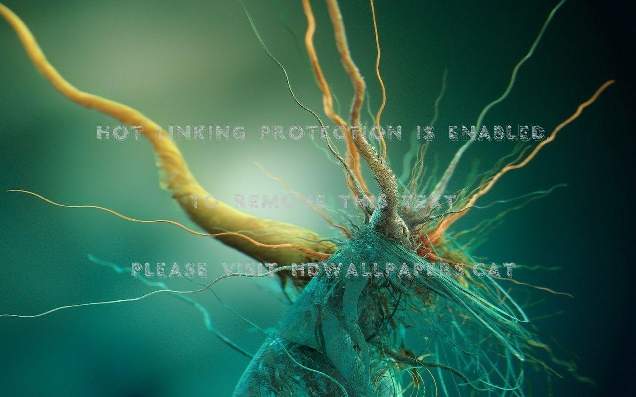 1280x800 bacteria abstract 3D and cg