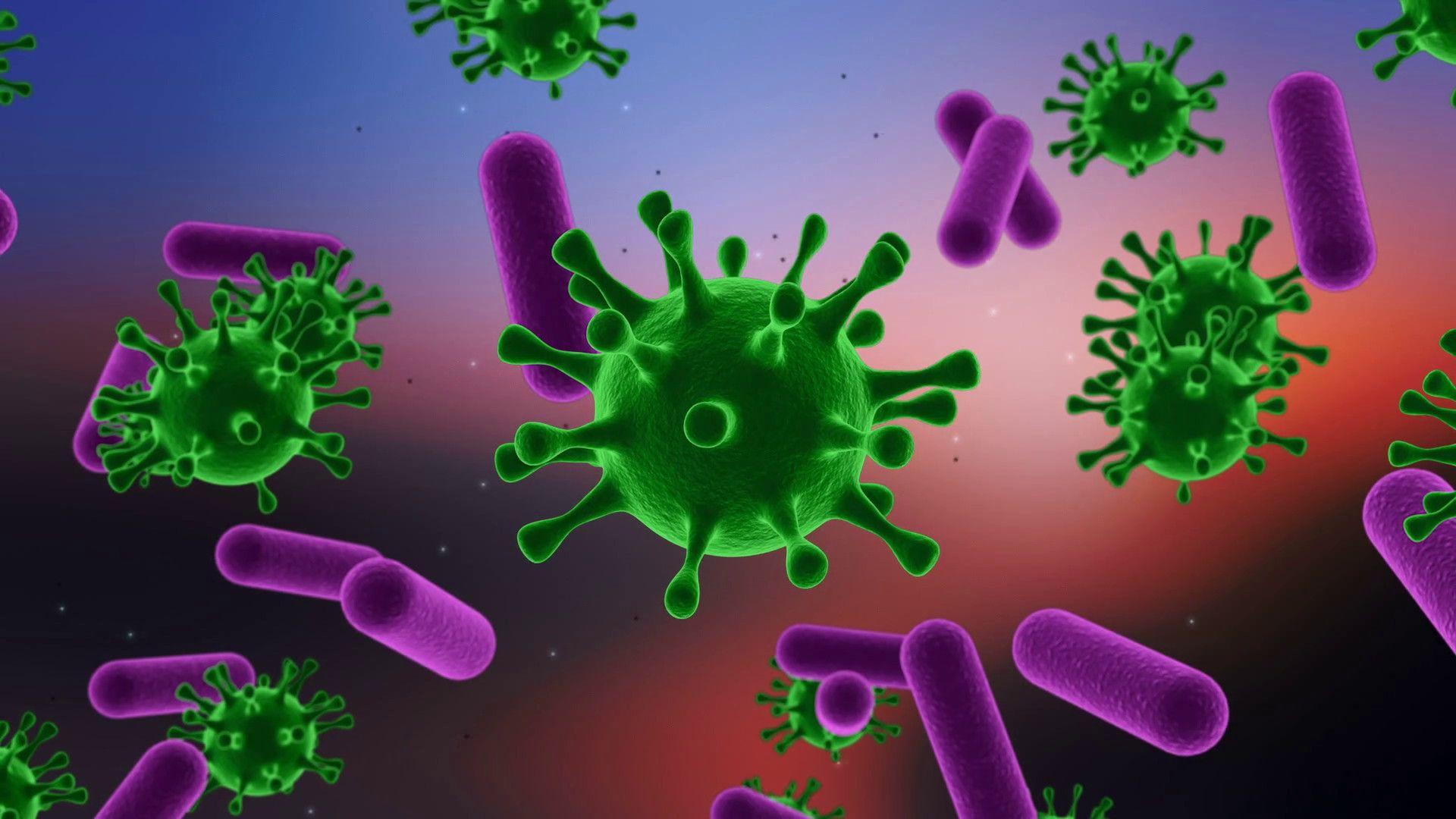 1920x1080 Bacteria wallpaper wallpaper Collections