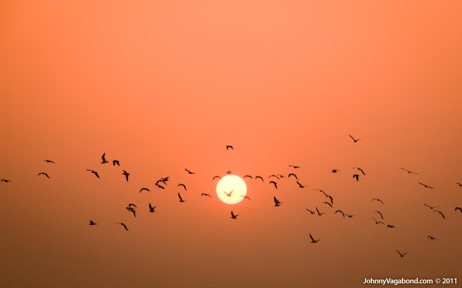 Varanasi Wallpapers - Top Free Varanasi Backgrounds - WallpaperAccess