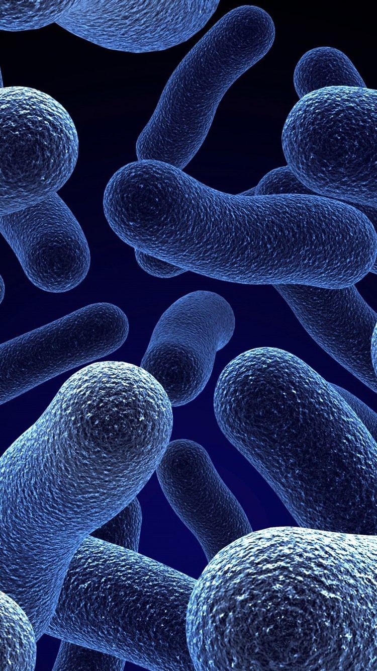 Microbes Wallpapers - Top Free Microbes Backgrounds - WallpaperAccess