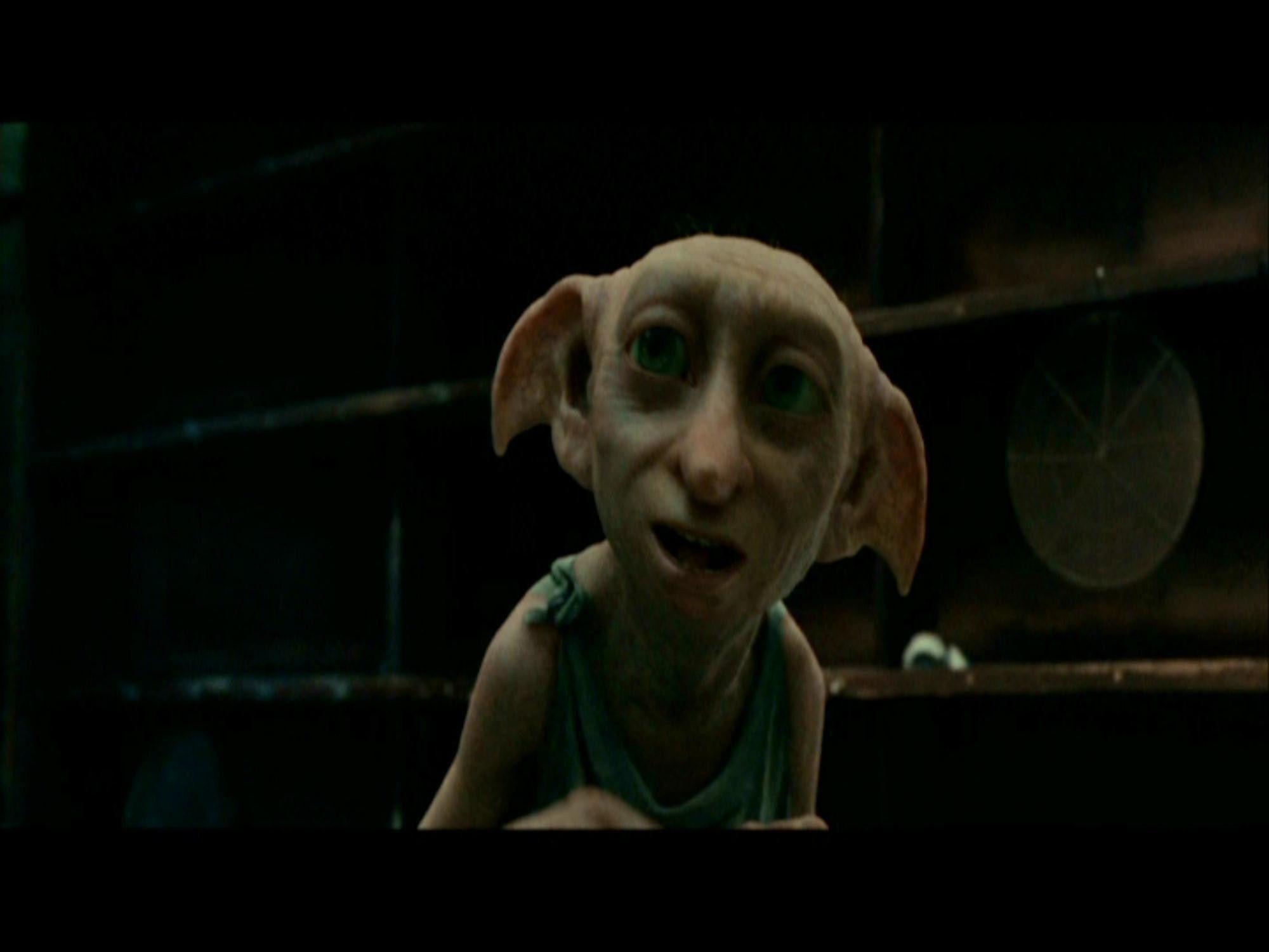 Dobby the HouseElf Fan Club  Fansite with photos videos and more