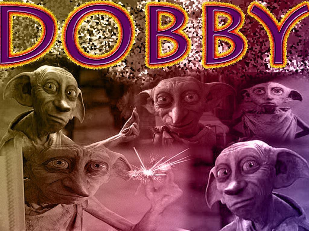 100 Dobby Wallpapers  Wallpaperscom