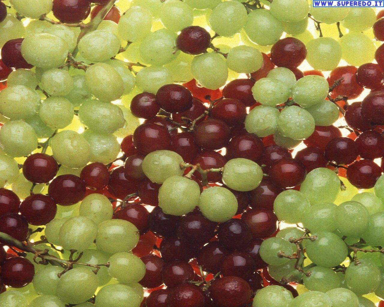 1280x1024 Grapes Image • Image HD of Grapes