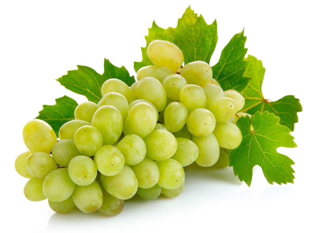 1200x900 Grapes wallpaper, Food, HQ Grapes pictureK Wallpaper 2019