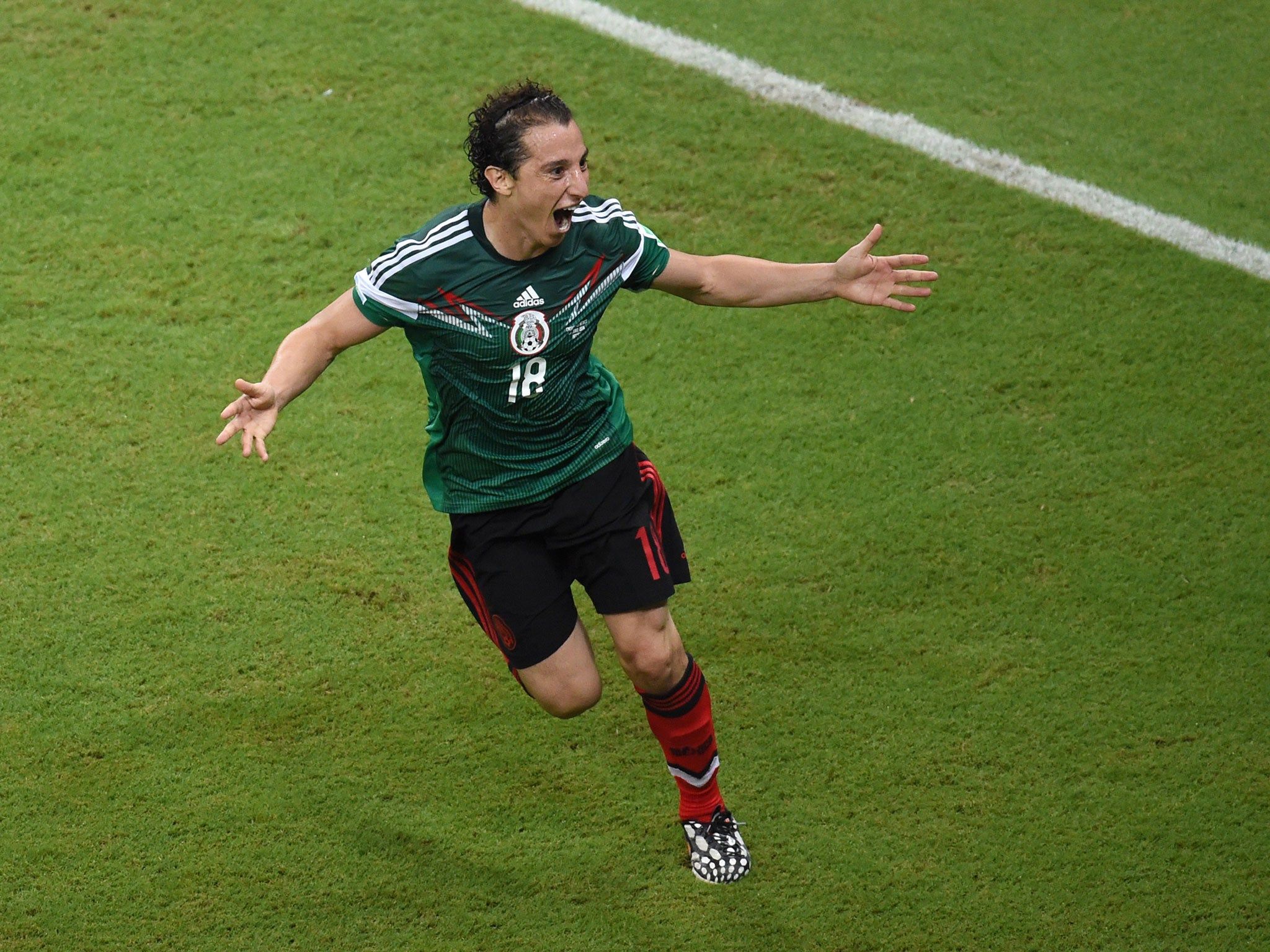2048x1536 World Cup 2014: GOOOOOOAL! But which country wins the award for celebrating a goal the loudest?