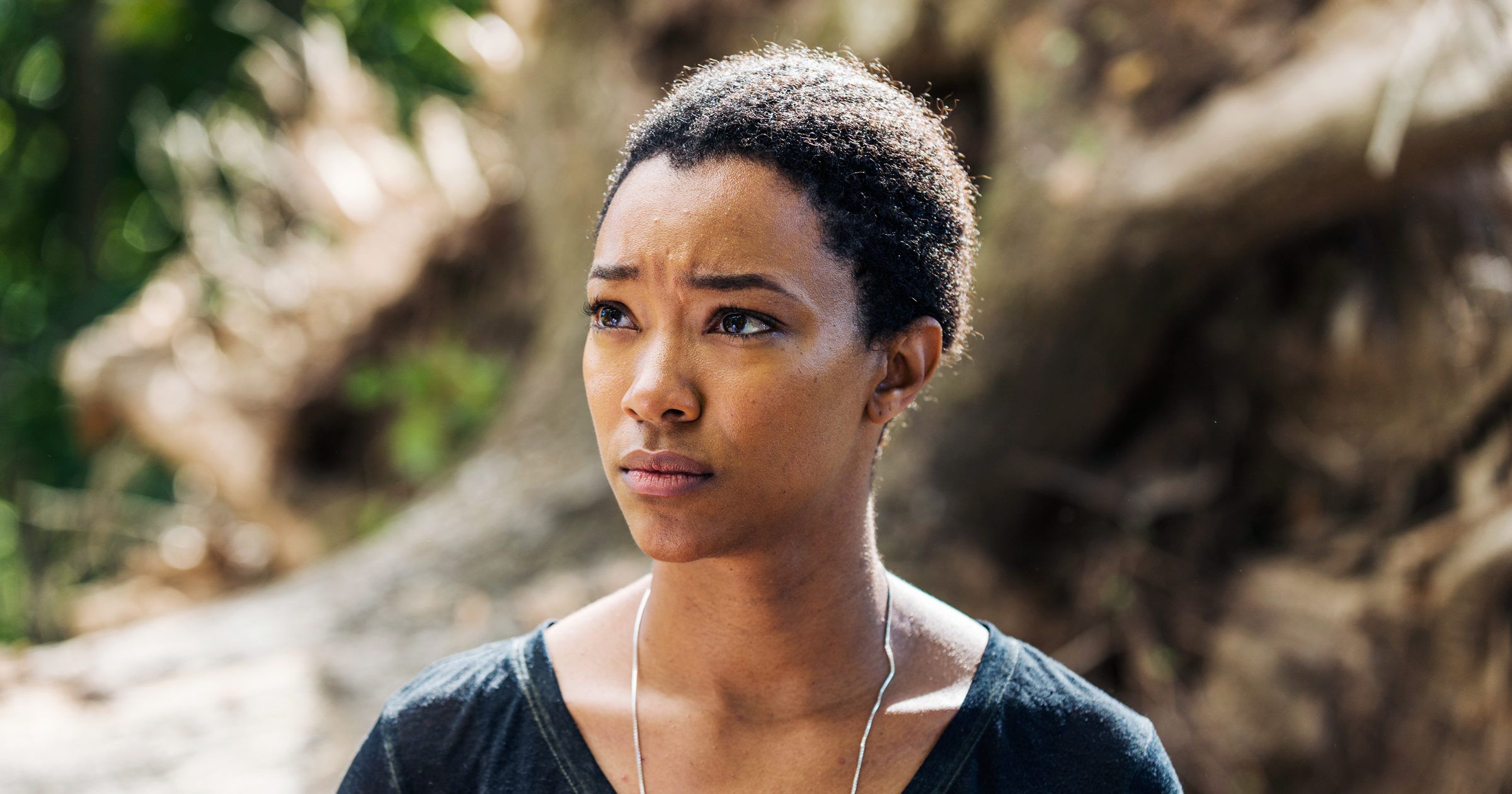2400x1261 Download Sonequa Martin Green Sasha Williams TV Show The Walking Dead 4k Ultra HD Wallpaperx3000