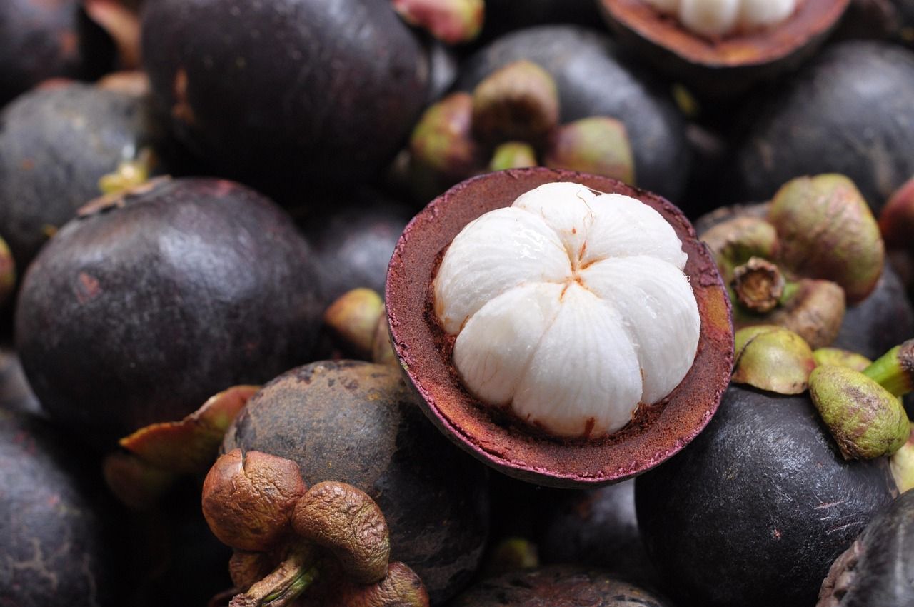 1280x850 Free Mangosteen Fruit & Mangosteen Image