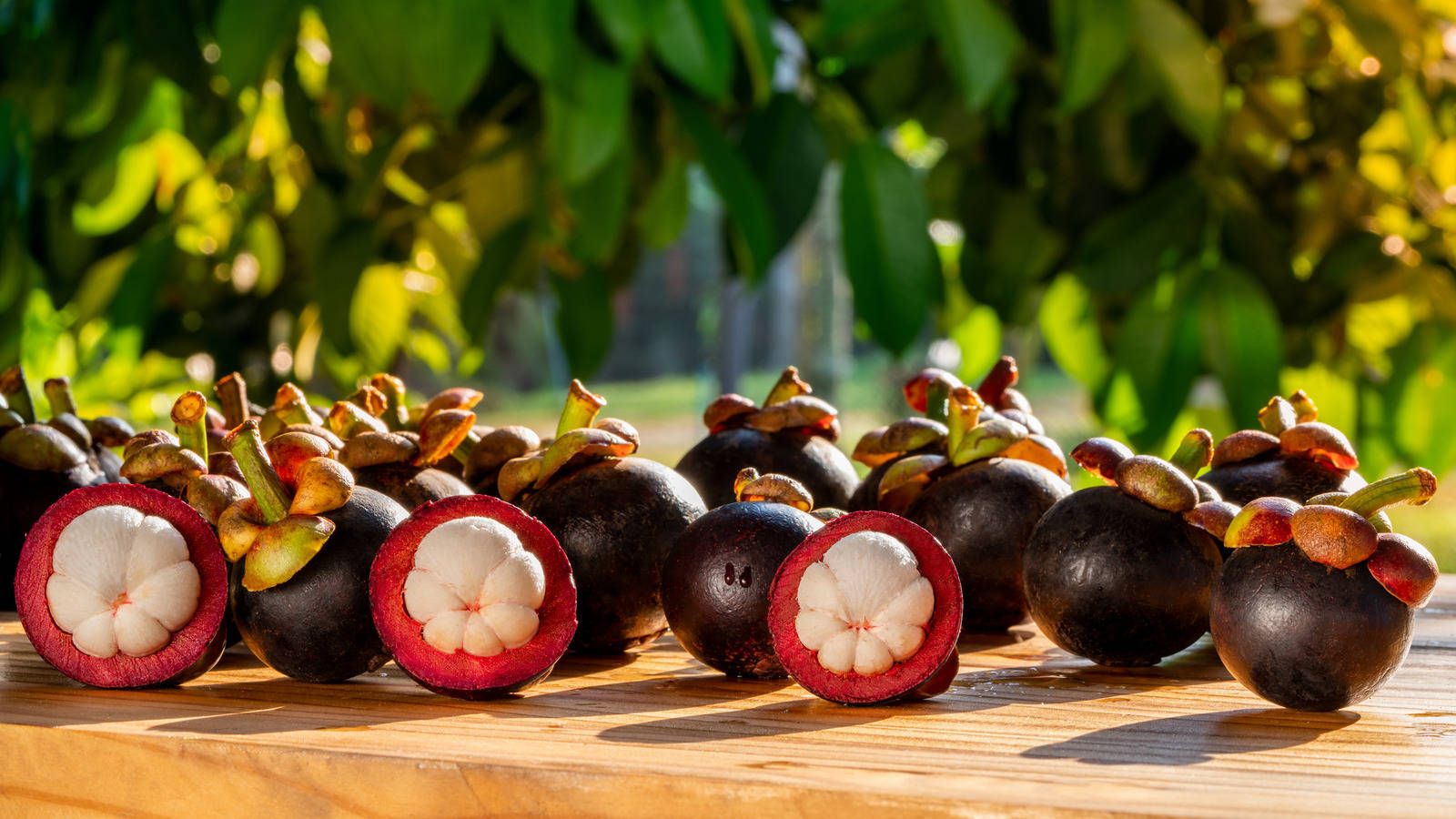 1600x900 Download Fresh Ripe Mangosteen Tropical Fruit Wallpaper
