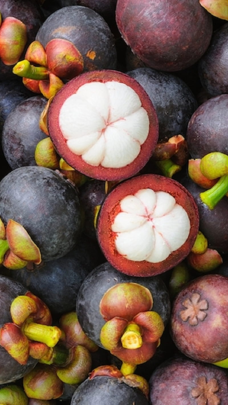 800x1422 Mangosteen, fruit, HD phone wallpaper