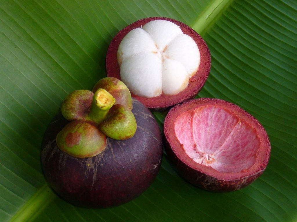 1024x768 Mangosteen