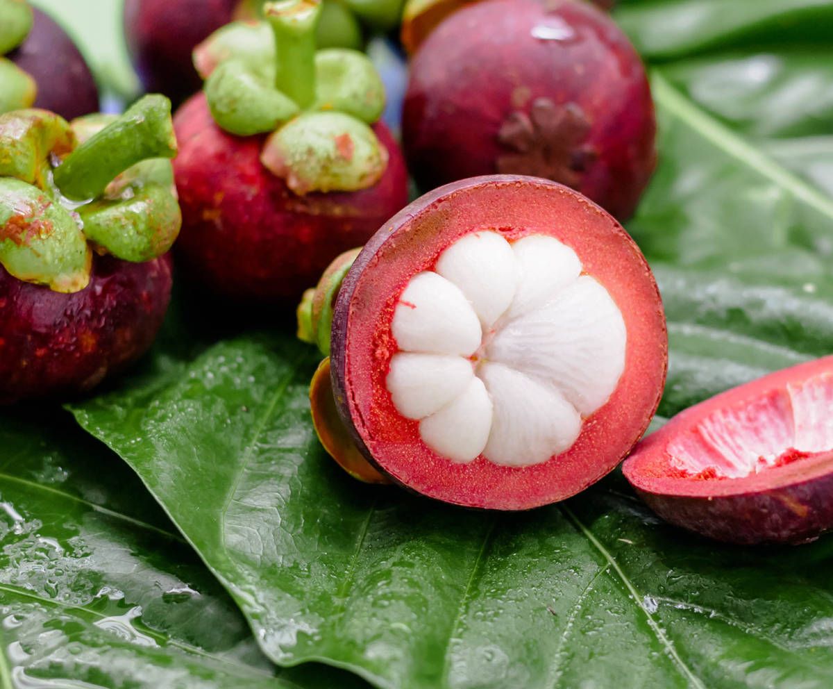 1200x992 Download Fresh, ripe Mangosteen (Garcinia mangostana) against a natural backdrop. Wallpaper