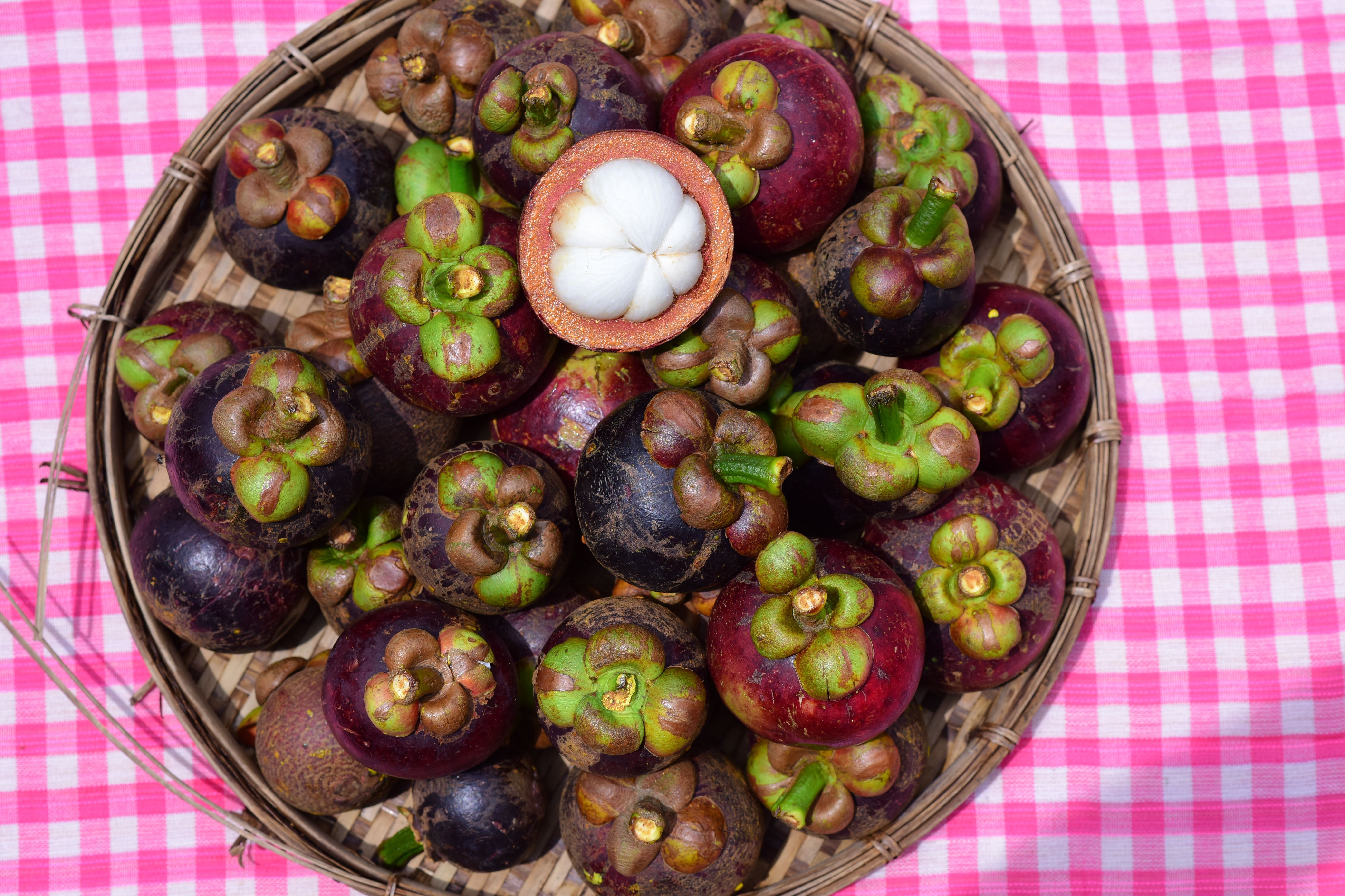 5520x3680 Mangosteen Photo, Download The BEST Free Mangosteen & HD Image