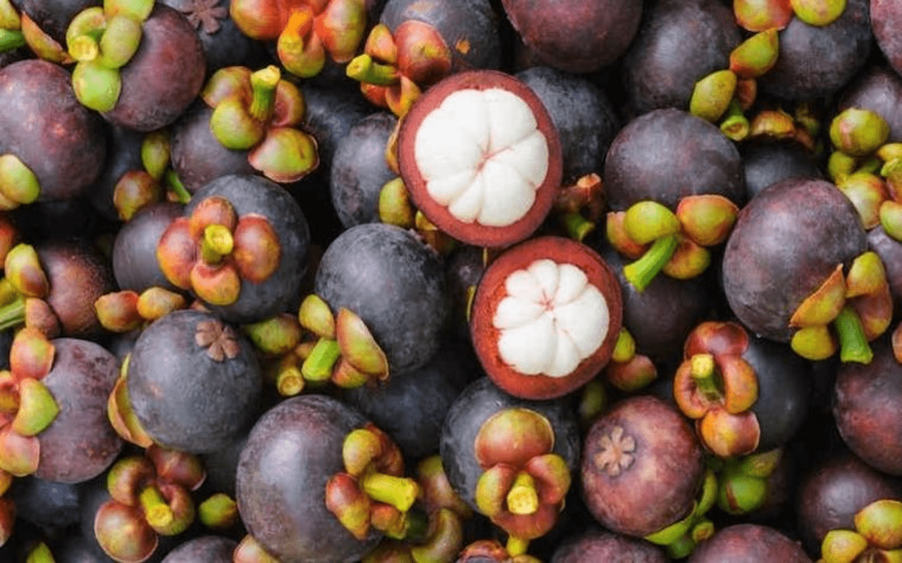 1280x800 Image of mangosteen fruit Web Store