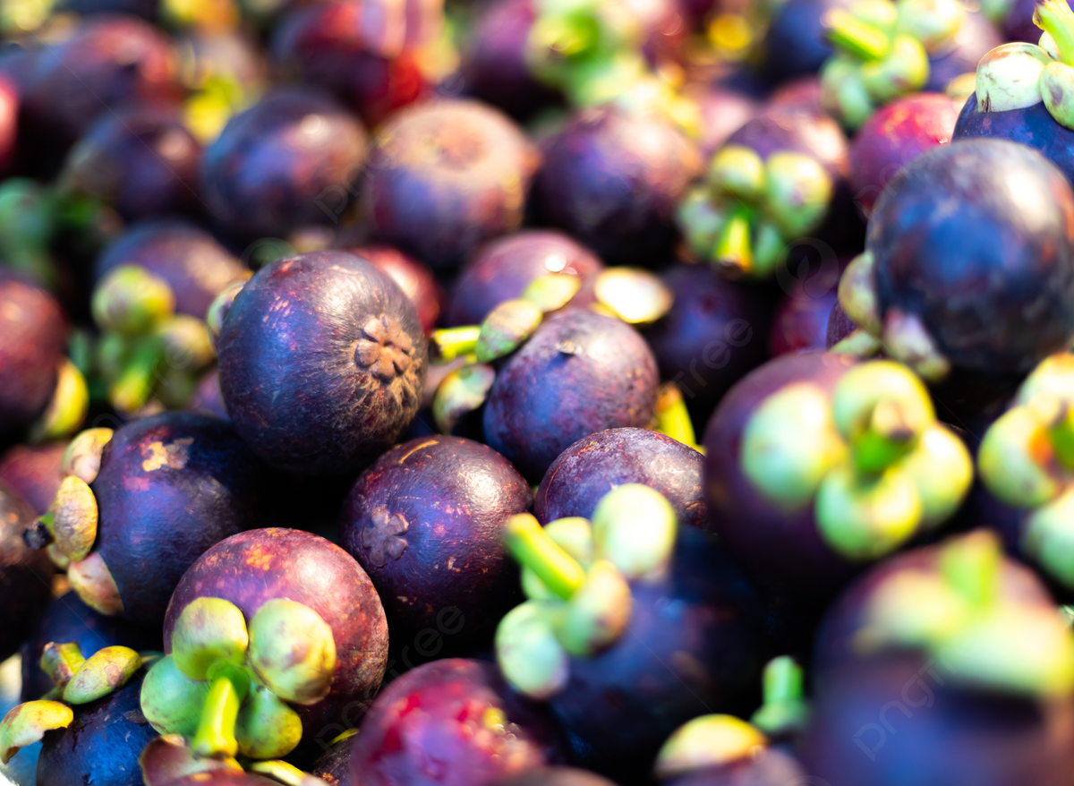 1200x878 Attractive And Delicious Mangosteen On The Counter, Wallpaper, Mangosteen, Fruit Background Image And Wallpaper for Free Download