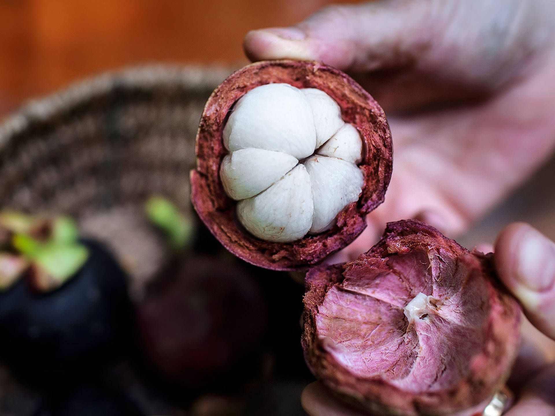 1920x1440 Download Fresh Mangosteen Exotic Queen of Fruits Wallpaper