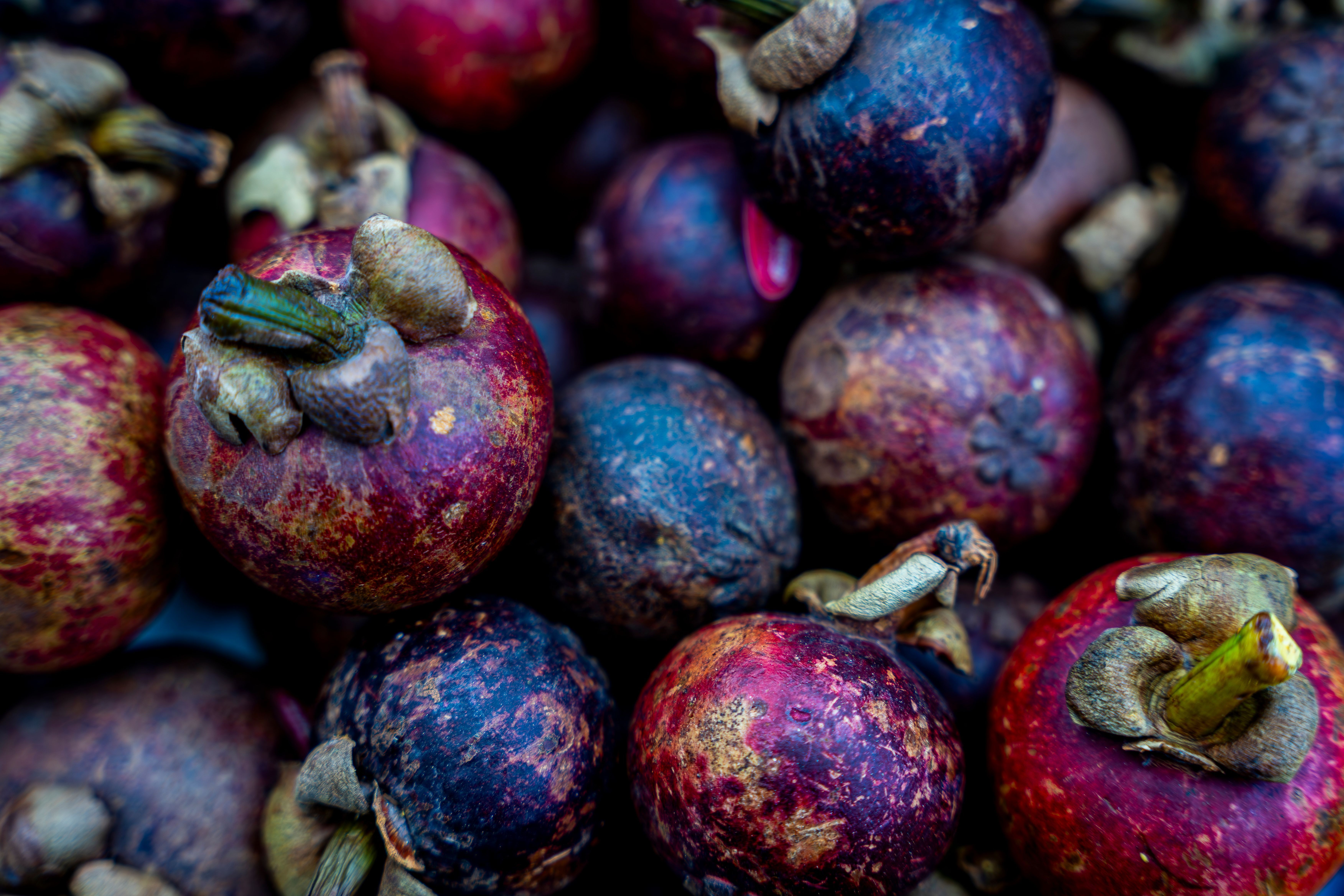 7008x4672 Mangosteen Photo, Download The BEST Free Mangosteen & HD Image