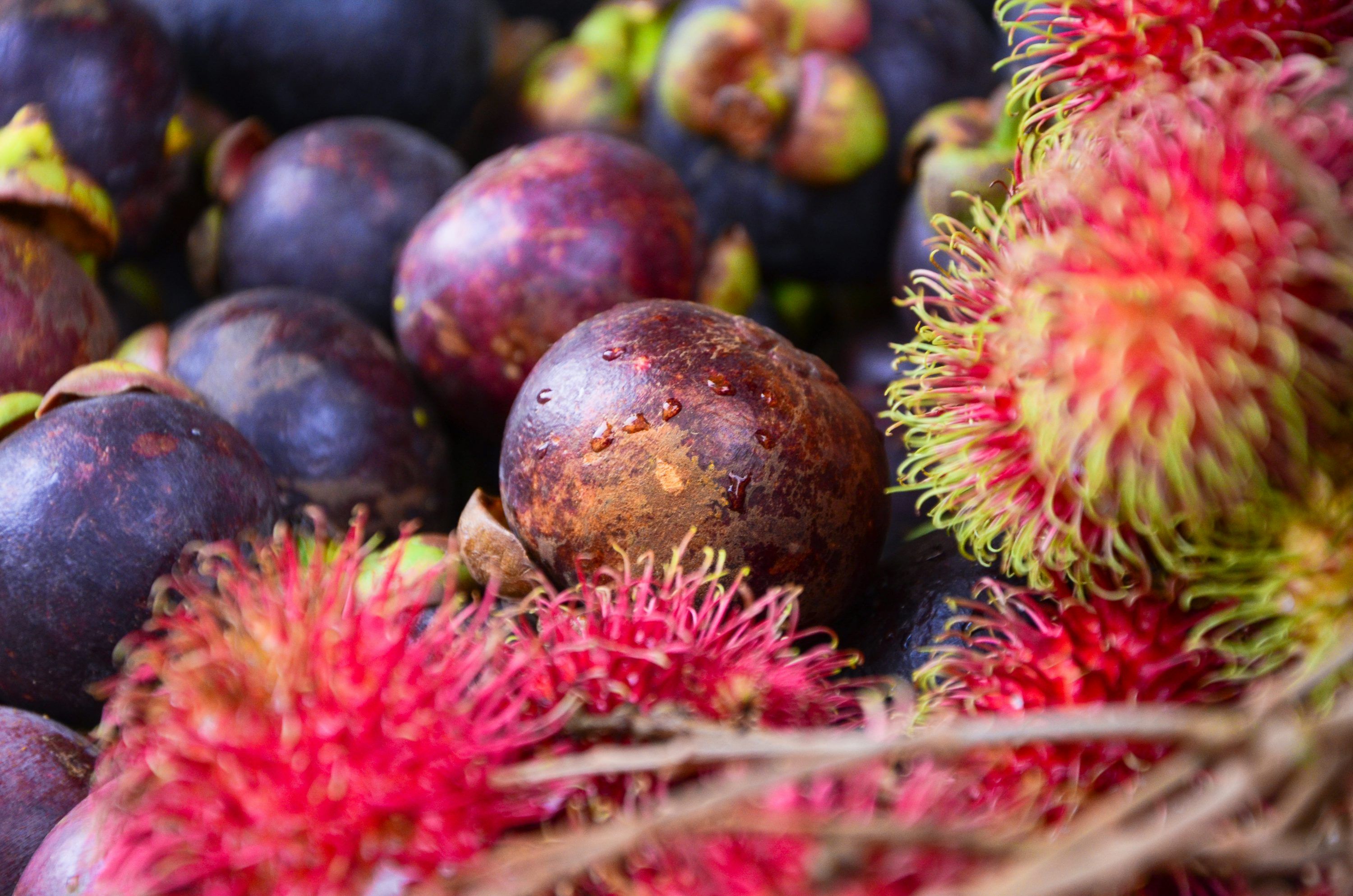 3000x1987 Mangosteen Picture. Download Free Image