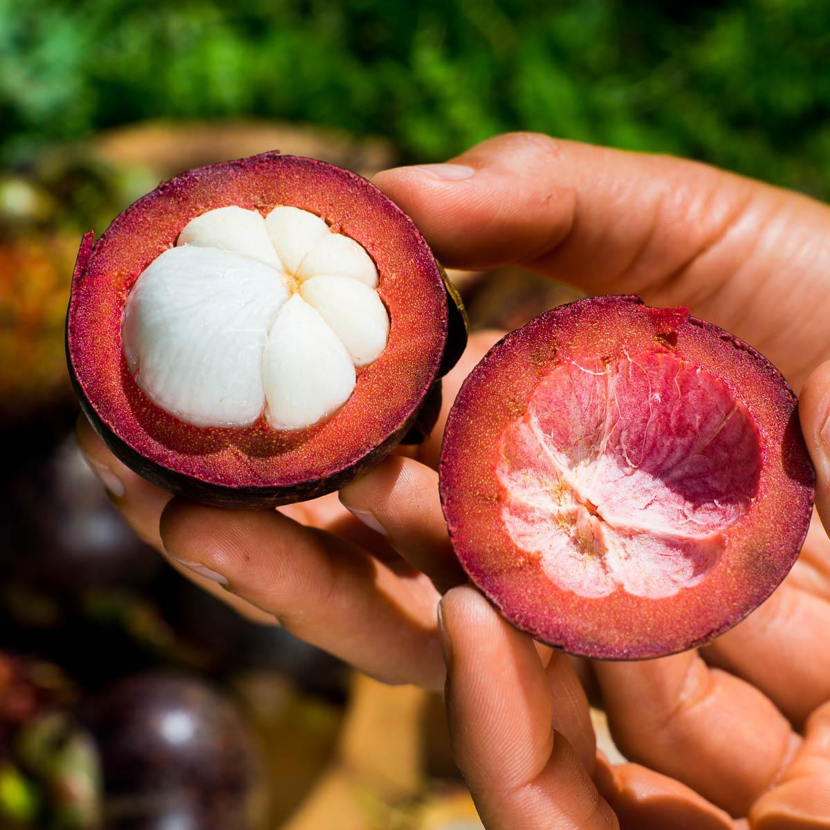 1200x1200 Mangosteen Delivered Fresh at Jurassic Fruit