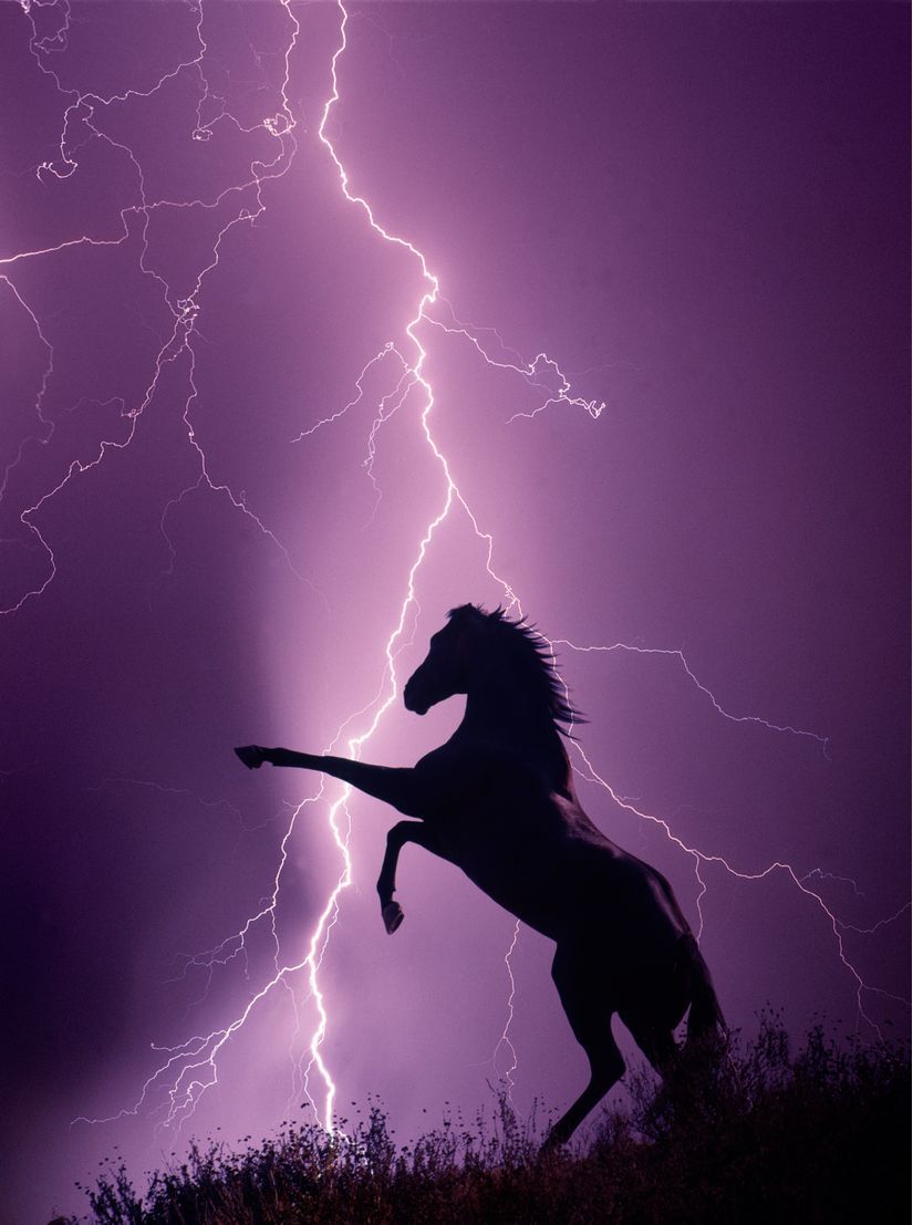 825x1107 Stallion And Lightning Wall Mural