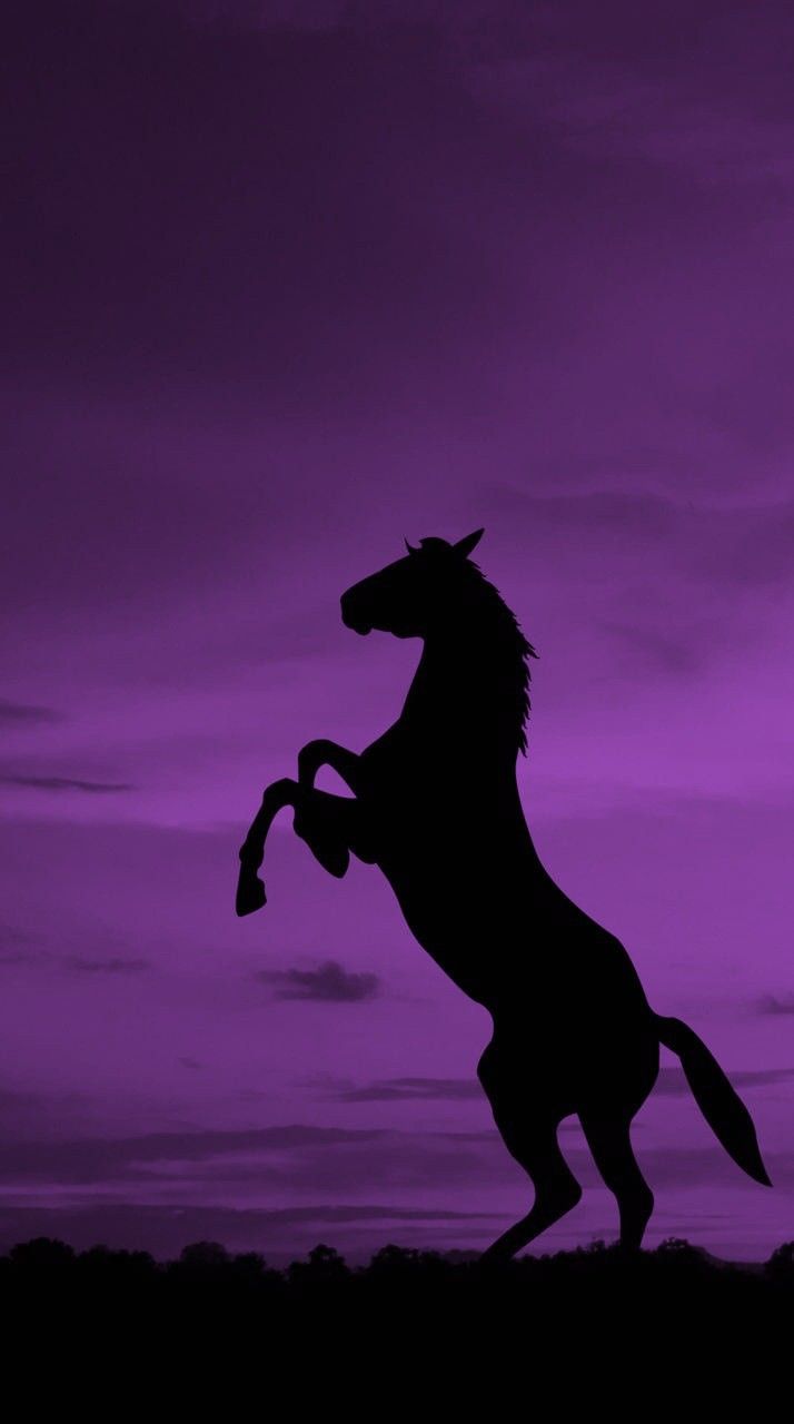 714x1280 Horse Silhouette Against Purple Sky. Süße pferde, Braunes pferd, Lila hintergründe