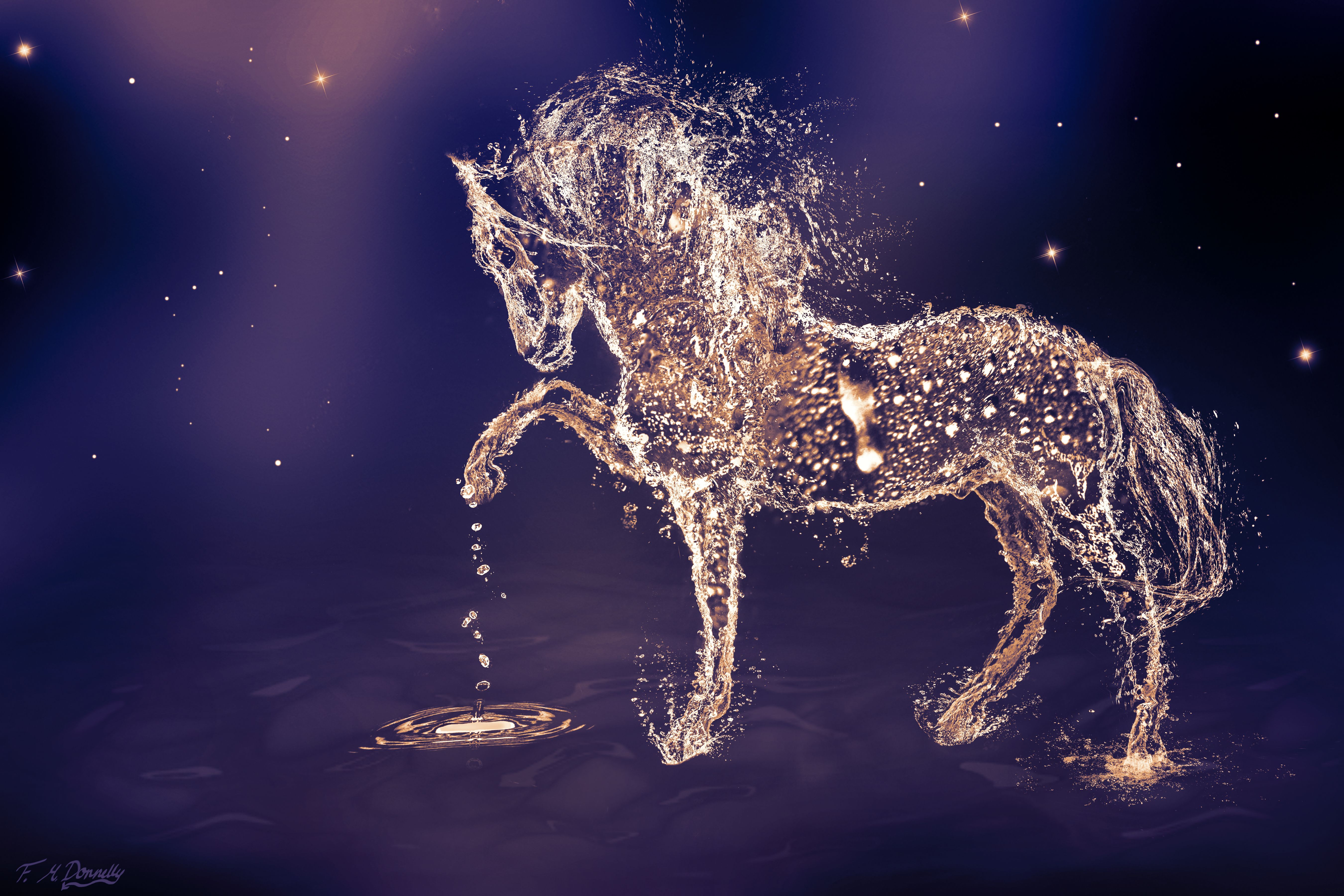5400x3600 Magical Horse: 4K Ultra HD Wallpaperx3600