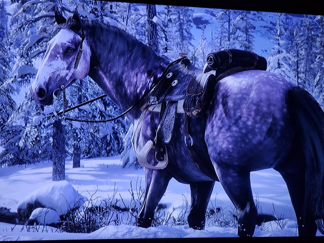 1080x810 Purple horse
