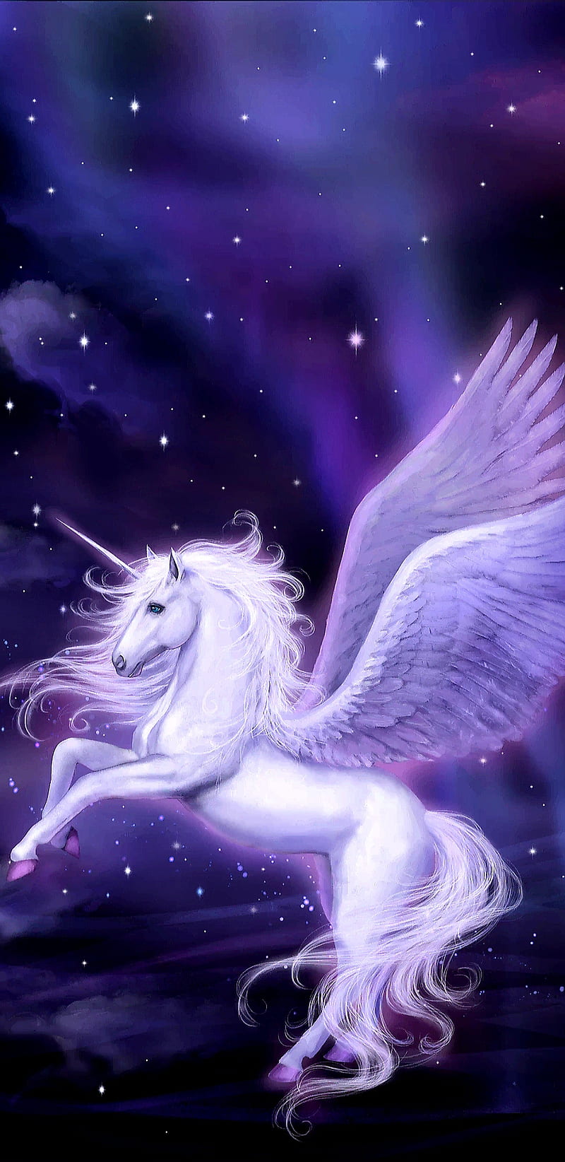 800x1644 HD galaxy horse wallpaper